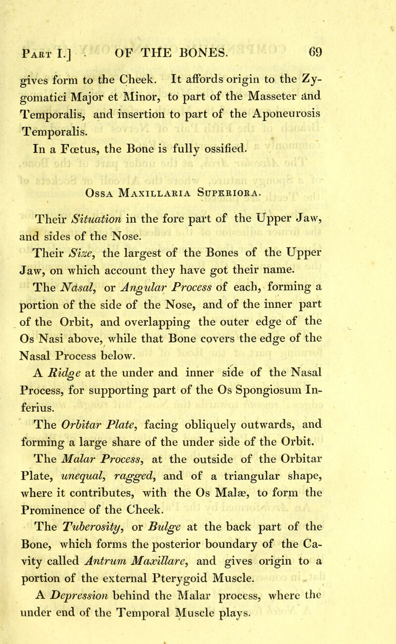 gives form to the Cheek. It affords origin to the Zy- gomatici Major et Minor, to part of the Masseter ilnd Temporalis, and insertion to part of the Aponeurosis Temporalis. In a Foetus, the Bone is fully ossified. OssA Maxillaria Superiora. Their Situation in the fore part of the Upper Jaw, and sides of the Nose. Their Size^ the largest of the Bones of the Upper Jaw, on which account they have got their name. The Nasal, or Angular Process of each, forming a portion of the side of the Nose, and of the inner part of the Orbit, and overlapping the outer edge of the Os Nasi above, while that Bone covers the edge of the Nasal Process below. A Ridge at the under and inner side of the Nasal Process, for supporting part of the Os Spongiosum In- ferius. The Orhitar Plate, facing obliquely outwards, and forming a large share of the under side of the Orbit. The Malar Process, at the outside of the Orbitar Plate, unequal, ragged, and of a triangular shape, where it contributes, with the Os Malae, to form the Prominence of the Cheek. The Tuberosity, or Bulge at the back part of the Bone, which forms the posterior boundary of the Ca- vity called Antrum Maxillare, and gives origin to a portion of the external Pterygoid Muscle. A Depression behind the Malar process, where the under end of the Temporal Muscle plays.