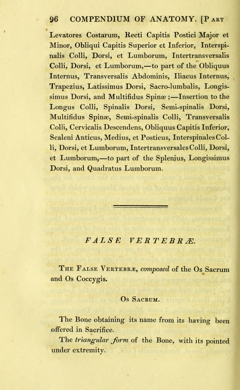 Levatores Costarum, Kecti Capitis Postici Major et Minor, Obliqui Capitis Superior et Inferior, Interspi- nalis Colli, Dorsi, et Lumborum, Intertransversalis Colli, Dorsi, et Lumborum,—to part of the Obliquus Internus, Transversalis Abdominis, Iliacus Internus, Trapezius, Latissimus Dorsi, Sacro-lumbalis, Longis- simus Dorsi, and Multifidus Spinas ;—Insertion to the Longus Colli, Spinalis Dorsi, Semi-spinalis Dorsi, Multifidus Spinae, Semi-spinalis Colli, Transversalis Colli, Cervicalis Descendens, Obliquus Capitis Inferior, Scaleni Anticus, Medius, et Posticus, Interspinales Col- li, Dorsi, et Lumborum, Intertransversales Colli, Dorsi, et Lumborum,—to part of the Splenius, Longissimus Dorsi, and Quadratus Lumborum. FALSE VERTEBRA. The False Vertebra, composed of the Os Sacrum and Os Coccygis. Os Sacrum. The Bone obtaining its name from its having been offered in Sacrifice. The triangular form of the Bone, with its pointed under extremity.