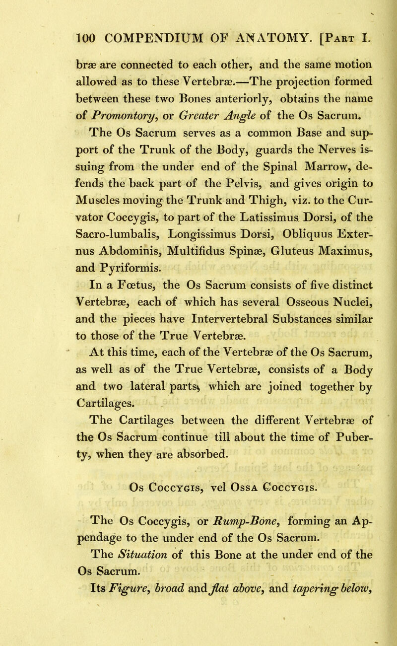 brse are connected to each other, and the same motion allowed as to these Vertebrse.—The projection formed between these two Bones anteriorly, obtains the name of Promontory^ or Greater Angle of the Os Sacrum, The Os Sacrum serves as a common Base and sup- port of the Trunk of the Body, guards the Nerves is- suing from the under end of the Spinal Marrow, de- fends the back part of the Pelvis, and gives origin to Muscles moving the Trunk and Thigh, viz. to the Cur- vator Coccygis, to part of the Latissimus Dorsi, of the Sacro-lumbalis, Longissimus Dorsi, Obliquus Exter- nus Abdominis, Multifidus Spinae, Gluteus Maximus, and Pyriformis. In a Foetus, the Os Sacrum consists of five distinct Vertebrae, each of which has several Osseous Nuclei, and the pieces have Intervertebral Substances similar to those of the True Vertebrae. At this time, each of the Vertebrae of the Os Sacrum, as well as of the True Vertebrae, consists of a Body and two lateral parts^ which are joined together by Cartilages. The Cartilages between the different Vertebrae of the Os Sacrum continue till about the time of Puber- ty, when they are absorbed. Os Coccygis, vel Ossa Coccygis. The Os Coccygis, or Rump-Bone, forming an Ap- pendage to the under end of the Os Sacrum. The Situation of this Bone at the under end of the Os Sacrum. Its Figurey broad and Jlat above, and tapering below.