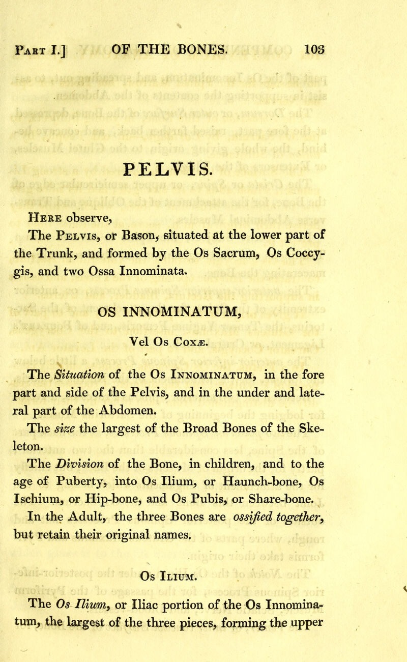 PELVIS. Here observe. The Pelvis, or Bason, situated at the lower part of the Trunk, and formed by the Os Sacrum, Os Coccy- gis, and two Ossa Innominata* OS INNOMINATUM, Vel Os Cox^. The Situation of the Os Innominatum, in the fore part and side of the Pelvis, and in the under and late- ral part of the Abdomen. The size the largest of the Broad Bones of the Ske- leton. The Division of the Bone, in children, and to the age of Puberty, into Os Ilium, or Haunch-bone, Os Ischium, or Hip-bone, and Os Pubis, or Share-bone. In the Adult, the three Bones are ossified together^ but retain their original names. Os Ilium. The Os Ilium, or Iliac portion of the Os Innomina* tum^ the largest of the three pieces, forming the upper