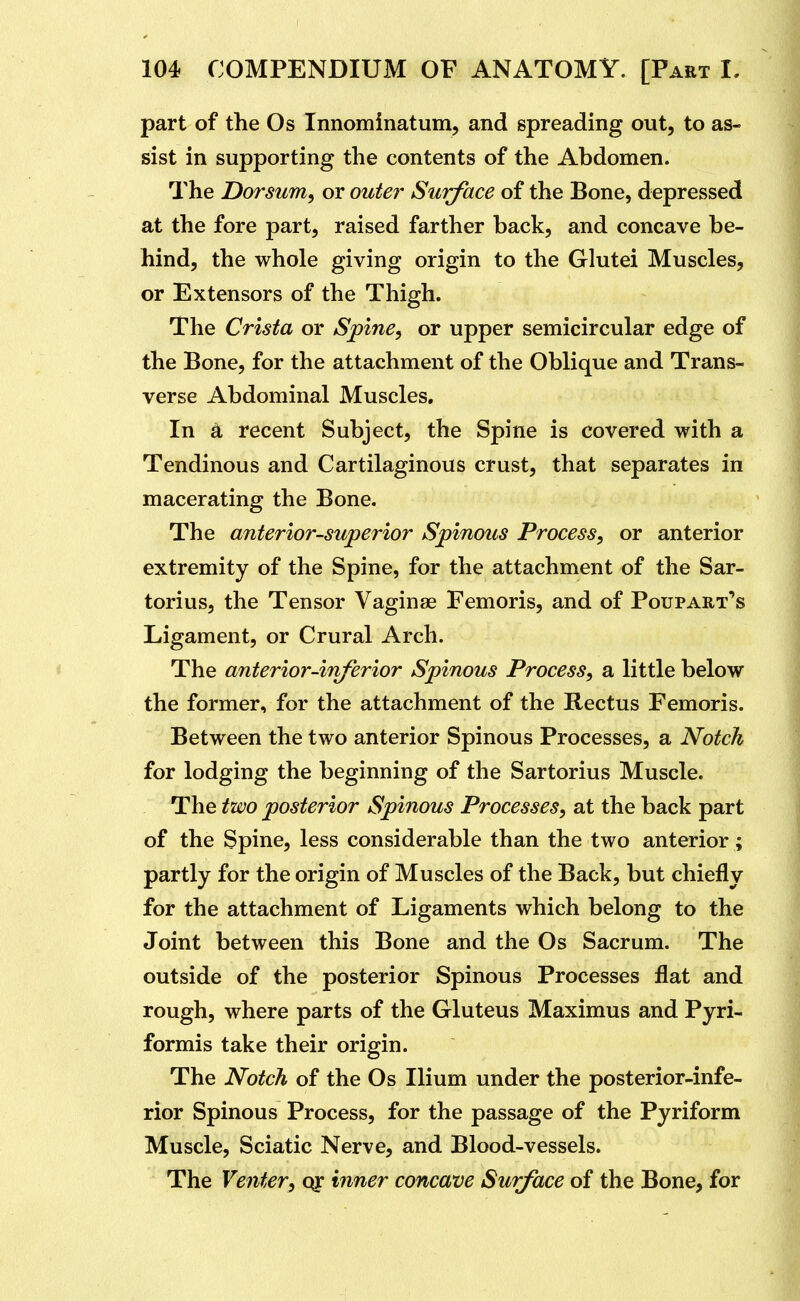 part of the Os Innominatum, and spreading out, to as- sist in supporting the contents of the Abdomen. The Dorsum^ or outer Surface of the Bone, depressed at the fore part, raised farther back, and concave be- hind, the whole giving origin to the Glutei Muscles, or Extensors of the Thigh. The Crista or Spine, or upper semicircular edge of the Bone, for the attachment of the Oblique and Trans- verse Abdominal Muscles. In a recent Subject, the Spine is covered with a Tendinous and Cartilaginous crust, that separates in macerating the Bone. The anterior-superior Spinous Process, or anterior extremity of the Spine, for the attachment of the Sar- torius, the Tensor Vaginae Femoris, and of Poupart's Ligament, or Crural Arch. The anterior-inferior Spinous Process, a little below the former, for the attachment of the Rectus Femoris. Between the two anterior Spinous Processes, a Notch for lodging the beginning of the Sartorius Muscle. The two posterior Spinous Processes, at the back part of the Spine, less considerable than the two anterior; partly for the origin of Muscles of the Back, but chiefly for the attachment of Ligaments which belong to the Joint between this Bone and the Os Sacrum. The outside of the posterior Spinous Processes flat and rough, where parts of the Gluteus Maximus and Pyri- formis take their origin. The Notch of the Os Ilium under the posterior-infe- rior Spinous Process, for the passage of the Pyriform Muscle, Sciatic Nerve, and Blood-vessels. The Venter, qr inner concave Surface of the Bone, for