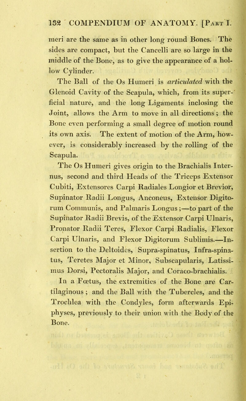 meri are the same as in other long round Bones. The sides are compact, but the Cancelli are so large in the middle of the Bone, as to give the appearance of a hol- low Cylinder. The Ball of the Os Humeri is articulated with the Glenoid Cavity of the Scapula, which, from its super- ficial nature, and the long Ligaments inclosing the Joint, allows the Arm to move in all directions ; the Bone even performing a small degree of motion round its own axis. The extent of motion of the Arm, how- ever, is considerably increased by the rolling of the Scapula. The Os Humeri gives origin to the Brachialis Inter- nus, second and third Heads of the Triceps Extensor Cubiti, Extensores Carpi Radiales Longior et Brevior, Supinator Radii Longus, Anconeus, Extensor Digito- rum Communis, and Palmaris Longus;—to part of the Supinator Radii Brevis, of the Extensor Carpi Ulnaris, Pronator Radii Teres, Flexor Carpi Radialis, Flexor Carpi Ulnaris, and Flexor Digitorum Sublimis.—In- sertion to the Deltoides, Supra-spinatus, Infra-spina- tus, Teretes Major et Minor, Subscapularis, Latissi- mus Dorsi, Pectoralis Major, and Coraco-brachialis. In a Foetus, the extremities of the Bone are Car- tilaginous ; and the Ball with the Tubercles, and the Trochlea with the Condyles, form afterwards Epi- physes, previously to their union with the Body of the Bone.
