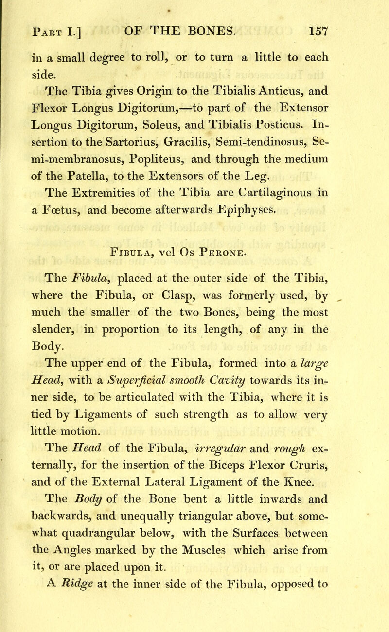 in a small degree to roll, or to turn a little to each side. The Tibia gives Origin to the Tibialis Anticus, and Flexor Longus Digitorum,—to part of the Extensor Longus Digitorum, Soleus, and Tibialis Posticus. In- sertion to the Sartorius, Gracilis, Semi-tendinosus, Se- mi-membranosus, Popliteus, and through the medium of the Patella, to the Extensors of the Leg. The Extremities of the Tibia are Cartilaginous in a Foetus, and become afterwards Epiphyses. Fibula, vel Os Perone. The Fibula, placed at the outer side of the Tibia, where the Fibula, or Clasp, was formerly used, by much the smaller of the two Bones, being the most slender, in proportion to its length, of any in the Body. The upper end of the Fibula, formed into a large Head, with a Superficial smooth Cavity towards its in- ner side, to be articulated with the Tibia, where it is tied by Ligaments of such strength as to allow very little motion. The Head of the Fibula, irregular and rough ex- ternally, for the insertion of the Biceps Flexor Cruris, and of the External Lateral Ligament of the Knee. The Body of the Bone bent a little inwards and backwards, and unequall}^ triangular above, but some- what quadrangular below, with the Surfaces between the Angles marked by the Muscles which arise from it, or are placed upon it. A Ridge at the inner side of the Fibula, opposed to