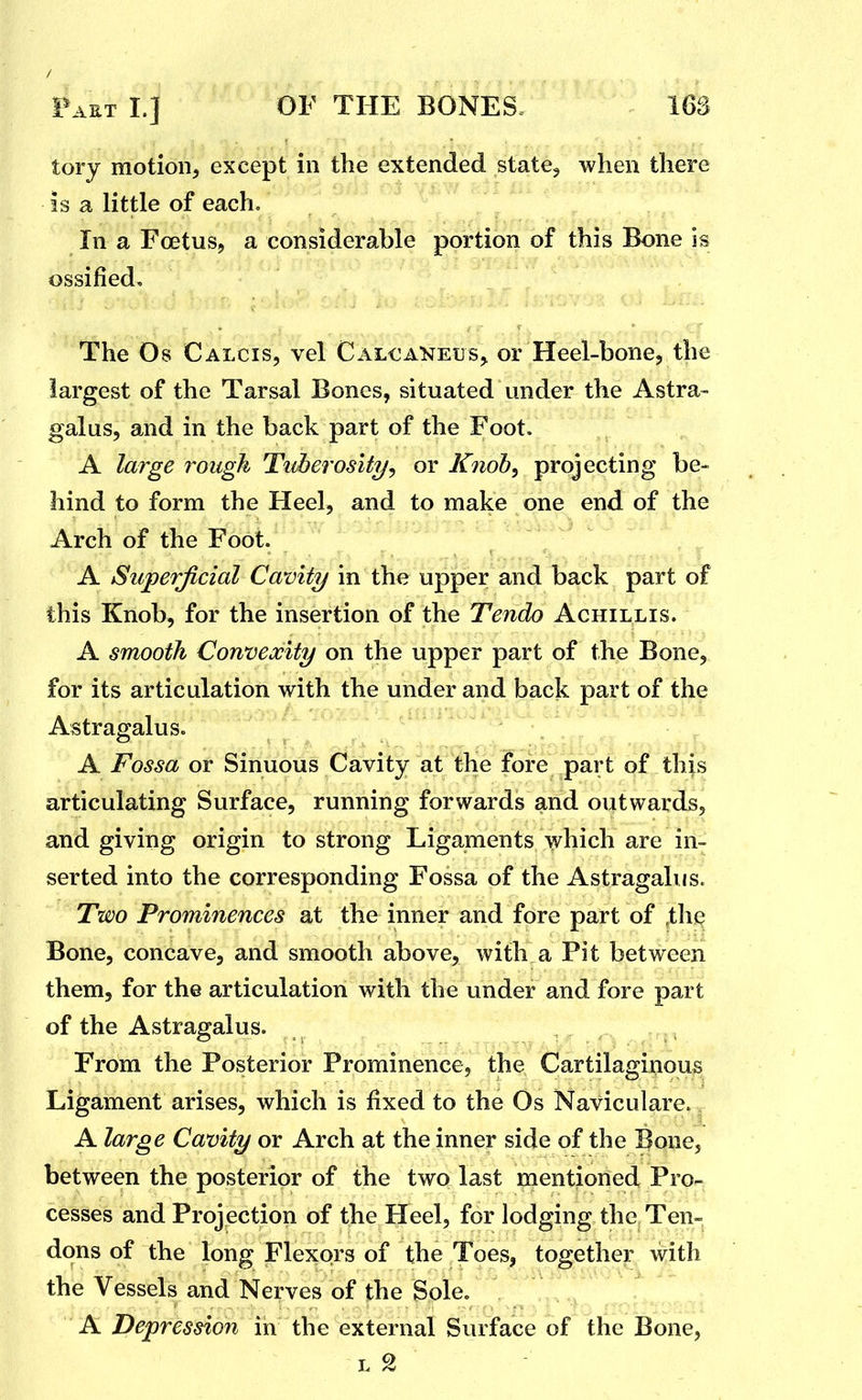/ Faet I.] OF THE BONES. 163 tory motion, except in the extended state, when there is a little of each. In a Foetus, a considerable portion of this Bone is ossified. The Os Calcis, vel Calcaneus, or Heel-bone, the largest of the Tarsal Bones, situated under the Astra- galus, and in the back part of the Foot. A large rough Tuberosity^ or Knob, projecting be- hind to form the Heel, and to make one end of the Arch of the Foot. A Superjicial Cavity in the upper and back part of this Knob, for the insertion of the Tendo Achillis. A smooth Convexity on the upper part of the Bone, for its articulation with the under and back part of the Astragalus. A Fossa or Sinuous Cavity at the fore part of this articulating Surface, running forwards and outwards, and giving origin to strong Ligaments which are in- serted into the corresponding Fossa of the Astragalus. Two Prominences at the inner and fore part of ,the Bone, concave, and smooth above, with a Pit between them, for the articulation with the under and fore part of the Astragalus. ;« From the Posterior Prominence, the Cartilaginous Ligament arises, which is fixed to the Os Naviculars. A large Cavity or Arch at the inner side of the Bone, between the posterior of the two last mentioned Pro- cesses and Projection of the Heel, for lodging the Ten- dons of the long Flexors of the Toes, together with the Vessels and Nerves of the Sole. A Depression in the external Surface of the Bone,