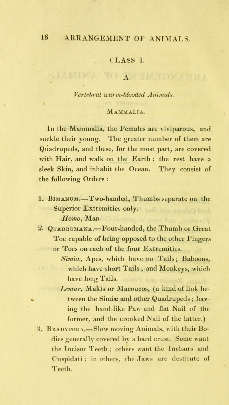 CLASS L A. Vertebral warm-blooded Animals. Mammalia. In the Mammalia, the Females are viviparous, and suckle their young. The greater number of them are Quadrupeds, and these, for the most part, are covered with Hair, and walk on the Earth ; the rest have a sleek Skin, and inhabit the Ocean. They consist of the following Orders : 1. BiMANUM.—Two-handed, Thumbs separate on the Superior Extremities only. Homo, Man. 2. QuADRUMANA.—Four-handcd, the Thumb or Great Toe capable of being opposed to the other Fingers or Toes on each of the four Extremities. Simice, Apes, which have no Tails; Baboons, which have short Tails ; and Monkeys, which have long Tails. Lemur, Makis or Macoucos, (a kind of link be- «. tween the Simiae and other Quadrupeds ; hav- ing the hand-like Paw and flat Nail of the former, and the crooked Nail of the latter.) 3. Bradypoda.—Slow moving Animals, Avith their Bo- dies generally covered by a hard crust. Some want the Incisor Teeth ; others want the Incisors and Cuspidati ; in others, the Jaws arc destitute of Teeth.