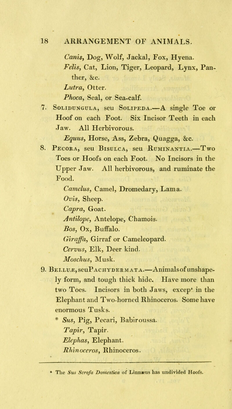 Canis, Dog, Wolf, Jackal, Fox, Hyena. Felis, Cat, Lion, Tiger, Leopard, Lynx, Pan- ther, &c. Lutra, Otter. Phoca, Seal, or Sea-calf. 7. SoLiDUNGULA, scu SoLiPEDA.—A single Toe or Hoof on each Foot. Six Incisor Teeth in each Jaw. All Herbivorous. Equus, Horse, Ass, Zebra, Quagga, &c. 8. Pecora, seu Bisulca, sen Ruminantia.—Two Toes or Hoofs on each Foot. No Incisors in the Upper Jaw. All herbivorous, and ruminate the Food. Camelus, Camel, Dromedary, Lama. Ovis, Sheep. Capra^ Goat. Antilope, Antelope, Chamois. Bos^ Ox, Buffalo. Girqffa, Girraf or Cameleopard. Cervus^ Elk, Deer kind. Moschus, Musk. 9. Bellu^e,scuPachydermata.—Animalsofunshape- ly form, and tough thick hide. Have more than two Toes. Incisors in both Jaws, excep*^^ in the Elephant and Two-horned Rhinoceros. Some have enormous Tusks. * Sus, Pig, Pecari, Babiroussa. Tapir, Tapir. Eleplias, Elephant. Rhinoceros, Rhinoceros. The Sus Scrofa Donicstica of Linn»ns has undivided Hoofs.