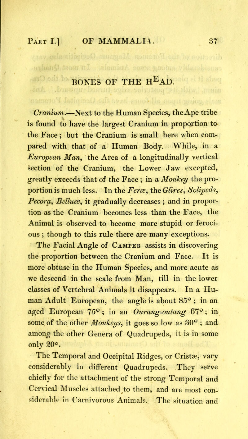 BONES OF THE H^AD. Cranium.—Next to the Human Species, the Ape tribe is found to have the largest Cranium in proportion to the Face; but the Cranium is small here when com- pared with that of a Human Body. While, in a European Man, the Area of a longitudinally vertical section of the Cranium, the Lower Jaw excepted, greatly exceeds that of the Face ; in a Monkey the pro- portion is much less. In the Ferae, the Glires, Solipeds, Pecora, Belluce, it gradually decreases ; and in propor- tion as the Cranium becomes less than the Face, the Animal is observed to become more stupid or feroci- ous ; though to this rule there are many exceptions. The Facial Angle of Camper assists in discovering the proportion between the Cranium and Face. It is more obtuse in the Human Species, and more acute as we descend in the scale from Man, till in the lower classes of Vertebral Animals it disappears. In a Hu- man Adult European, the angle is about 85^ ; in an aged European 75^; in an Ourang-outang 67^; in some of the other Monkeys, it goes so low as SC^; and among the other Genera of Quadrupeds, it is in some only 20<=*. The Temporal and Occipital Ridges, or Cristae, vary considerably in different Quadrupeds. They serve chiefly for the attachment of the strong Temporal and Cervical Muscles attached to them, and are most con- siderable in Carnivorous Animals. The situation and