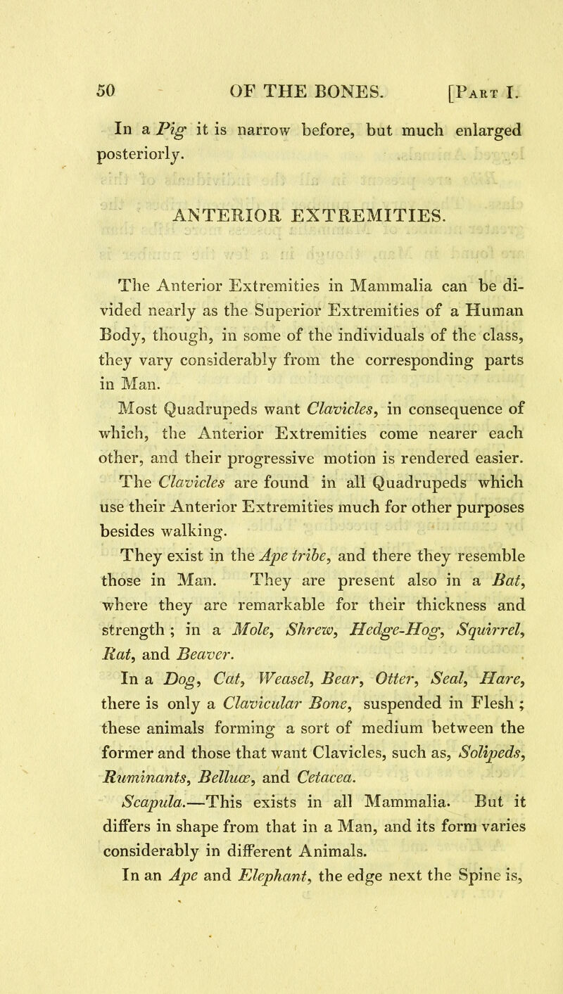 In a Pig it is narrow before, but much enlarged posteriorly. ANTERIOR EXTREMITIES. The Anterior Extremities in Mammalia can be di- vided nearly as the Superior Extremities of a Human Body, though, in some of the individuals of the class, they vary considerably from the corresponding parts in Man. Most Quadrupeds want Clavicles, in consequence of which, the Anterior Extremities come nearer each other, and their progressive motion is rendered easier. The Clavicles are found in all Quadrupeds which use their Anterior Extremities much for other purposes besides walking. They exist in the Ape tribe, and there they resemble those in Man. They are present also in a Bat, where they are remarkable for their thickness and strength ; in a Mole, Shrew, Hedge-Hog, Squirrel, Rat, and Beaver. In a Dog, Cat, Weasel, Bear, Otter, Seal, Hare, there is only a Clavicular Bone, suspended in Flesh ; these animals forming a sort of medium between the former and those that want Clavicles, such as, Solipeds, Riiminants, Belluce, and Cetacea. Scapula.—This exists in all Mammalia. But it differs in shape from that in a Man, and its form varies considerably in different Animals. In an Ape and Elephant, the edge next the Spine is,