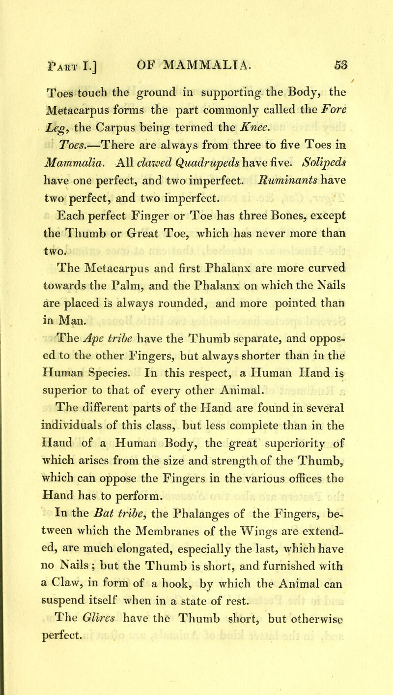 Toes touch the ground in supporting the Body, the Metacarpus forms the part commonly called the Fore Leg, the Carpus being termed the Knee. Toes.—There are always from three to five Toes in Mammalia. All clawed Quadrupeds have ^ve. Solipeds have one perfect, and two imperfect. Ruminants have two perfect, and two imperfect. Each perfect Finger or Toe has three Bones, except the Thumb or Great Toe, which has never more than two. The Metacarpus and first Phalanx are more curved towards the Palm, and the Phalanx on which the Nails are placed is always rounded, and more pointed than in Man. The Ape tribe have the Thumb separate, and oppos- ed to the other Fingers, but always shorter than in the Human Species. In this respect, a Human Hand is superior to that of every other Animal. The different parts of the Hand are found in several individuals of this class, but less complete than in the Hand of a Human Body, the great superiority of which arises from the size and strength of the Thumb, which can oppose the Fingers in the various offices the Hand has to perform. In the Bat tribe, the Phalanges of the Fingers, be- tween which the Membranes of the Wings are extend- ed, are much elongated, especially the last, which have no Nails ; but the Thumb is short, and furnished with a Claw, in form of a hook, by which the Animal can suspend itself when in a state of rest. The Glires have the Thumb short, but otherwise perfect.