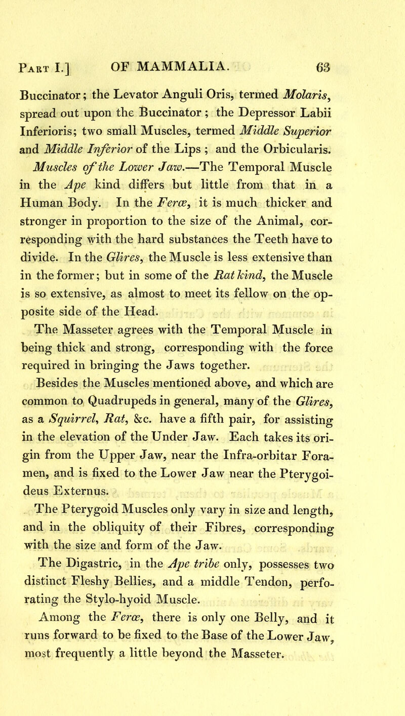 Buccinator; the Levator Anguli Oris, termed Molaris^ spread out upon the Buccinator; the Depressor Labii Inferioris; two small Muscles, termed Middle Superior and Middle Iriferior of the Lips ; and the Orbicularis. Muscles of the Lower Jaw.—The Temporal Muscle in the Ape kind differs but little from that in a Human Body. In the Ferce, it is much thicker and stronger in proportion to the size of the Animal, cor- responding with the hard substances the Teeth have to divide. In the Glires, the Muscle is less extensive than in the former; but in some of the Mat kind, the Muscle is so extensive, as almost to meet its fellow on the op- posite side of the Head. The Masseter agrees with the Temporal Muscle in being thick and strong, corresponding with the force required in bringing the Jaws together. Besides the Muscles mentioned above, and which are common to Quadrupeds in general, many of the Glires, as a Squirrel, Rat, &c. have a fifth pair, for assisting in the elevation of the Under Jaw. Each takes its ori- gin from the Upper Jaw, near the Infra-orbitar Fora- men, and is fixed to the Lower Jaw near the Pterygoi- deus Externus. The Pterygoid Muscles only vary in size and length, and in the obliquity of their Fibres, corresponding with the size and form of the Jaw. The Digastric, in the Jjpe tribe only, possesses two distinct Fleshy Bellies, and a middle Tendon, perfo- rating the Stylo-hyoid Muscle. Among the Ferce, there is only one Belly, and it runs forward to be fixed to the Base of the Lower Jaw, most frequently a little beyond the Masseter.
