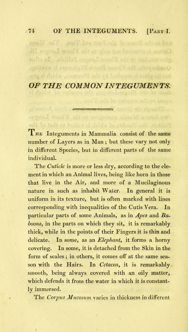 OF THE COMMON INTEGUMENTS. The Integuments in Mammalia consist of the same number of Layers as in Man; but these vary not only in different Species, but in different parts of the same individual. The Cuticle is more or less dry, according to the ele- ment in which an Animal lives, being like horn in those that live in the Air, and more of a Mucilaginous nature in such as inhabit Water. In general it is uniform in its texture, but is often marked with lines corresponding with inequalities of the Cutis Vera. In particular parts of some Animals, as in Apes and Ba- boons^ in the parts on which they sit, it is remarkably thick, while in the points of their Fingers it is thin and delicate. In some, as an Elephant^ it forms a horny covering. In some, it is detached from the Skin in the form of scales; in others, it comes off at the same sea- son with the Hairs. In Cetacea, it is remarkably smooth, being always covered with an oily matter, which defends it from the water in which it is constant- ly immersed. The Corpus Mucostini varies in thickness in different I