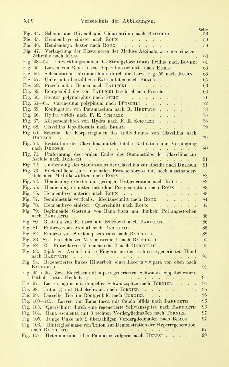 Seite. Fig. 44. Schaum aus Ohvenöl und Chlornatrium nach Bütschli .... 56 Fig. 45. Hemieinbryo sinister uach ßoux 59 Fig. 46. Hemiembryo dexter nach Roux 59 Fig. 47. Verlagerung der Elastomeren der Meduse Aeginata zu einer einzigen ZeUreihe nach Maas 60 Fig. 48—54. Entwicklungsstadien des Strongylocentrotus lividus nach Bovert 61 Fig. 55. Larven von Eana fusca. Operationsschnitte nach Rxjbix .... 63 Fig. 56. Schematischer Medianschnitt durch die Larve Fig. 55 nach Etjbin . 63 Fig. 57. Unke mit überzähligen Extremitäten nach Braus 65 Fig. 58. Frosch mit 5 Beinen nach Paulicki 66 Fig. 59. Röntgenbild des von Paulicki beschriebenen Frosches .... 66 Fig. 60. Stentor polymorphus nach Stein 71 Fig. 61—64. Carchesium polypinum nach Bütschli 72 Fig. 65. Konjugation von Paramaecium nach R. Hertwig 73 Flg. 66. Hydra viridis nach F. E. Schulze 75 Fig. 67. Körperschichten von Hydra nach F. E. Schulze 75 Fig. 68. Clavellina lepadiformis nach Brehm 79 Fig. 69. Schema der Körperregionen des Individuums von Clavellina nach Driesch 79 Fig. 70. Restitution der Clavellina mittels totaler Reduktion und Verjüngung nach Driesch 80 Fig. 71. Umformung des oralen Endes des Stammstolos der Clavellina zur Ascidie nach Driesch 81 Fig. 72. Umformung des Stammstolos der Clavellina zur Ascidie nach Driesch 81 Fig. 73. Rückenfläche eines normalen Froschembryos mit noch auseinander- stehenden MeduUarwülsten nach Roux 83 Fig. 74. Hemiembryo dexter mit geringer Postgeneration nach Roux ... 83 Fig. 75. Hemiembryo sinister fast ohne Postgeneration nach Roux . . . 83 Fig. 76. Hemiembryo anterior nach Roux 83 Fig. 77. Semiblastula verticalis. Medianschnitt nach Roux 84 Fig. 78. Hemiembryo sinister. Querschnitt nach Roux 85 Fig. 79. Beginnende Gastrula von Rana fusca am dunkeln Pol angestochen nach Barfurth 86 Flg. 80. Gastrula von R. fusca mit Extraovat nach Barfurth .... 86 Fig. 81. Embryo vom Axolotl nach Barfurth 86 Fig. 82. Embryo von Siredon pisciformis nach Barfurth 88 Fig. 83 — 87. Froschlarven-Versuchsreihe 1 nach Barfurth 90 Fig. 88—92. Froschlarven-Versuchsreihe 2 nach Barfurth 90 Fig. 93. 2-jähriger Axolotl mit 5 Fingern an der rechten regenerierten Hand nach Barfurth 91 Fig. 94. Regeneriertes linkes Hinterbein einer Lacerta vivipara von oben nach Barfurth 91 Fig. 95 u. 96. Zwei Eidechsen mit superregeneriertem Schwanz (Doppelschwanz). Pathol. Instit. Heidelberg 94 Fig. 97. Lacerta agilis mit doppelter Schwanzspitze nach Tornier ... 94 Fig. 98. Triton $ ™it Gabelschwanz nach Tornier 95 Fig. 99. Dasselbe Tier im Röntgenbild nach Tornier 95 Fig. 100—102. Larven von Rana fusca mit Cauda bifida nach Barfurth . 96 Fig. 103. Querschnitt durch eine regenerierte Schwanzspitze nach Bärfürth 96 Fig. 104. Rana esculenta mit 3 rechten Vordergliedmaßen nach Tornier . 97 Fig. 105. Junge Unke mit 2 überzähligen Vordergliedmaßen nach Braus . 97 Fig. 106. Hintergliedmaße von Triton zur Demonstration der Hyperregeneration nach Barfurth 97 Fig. 107. Heteromorphose bei Pahnurus vulgaris nach Herbst 99