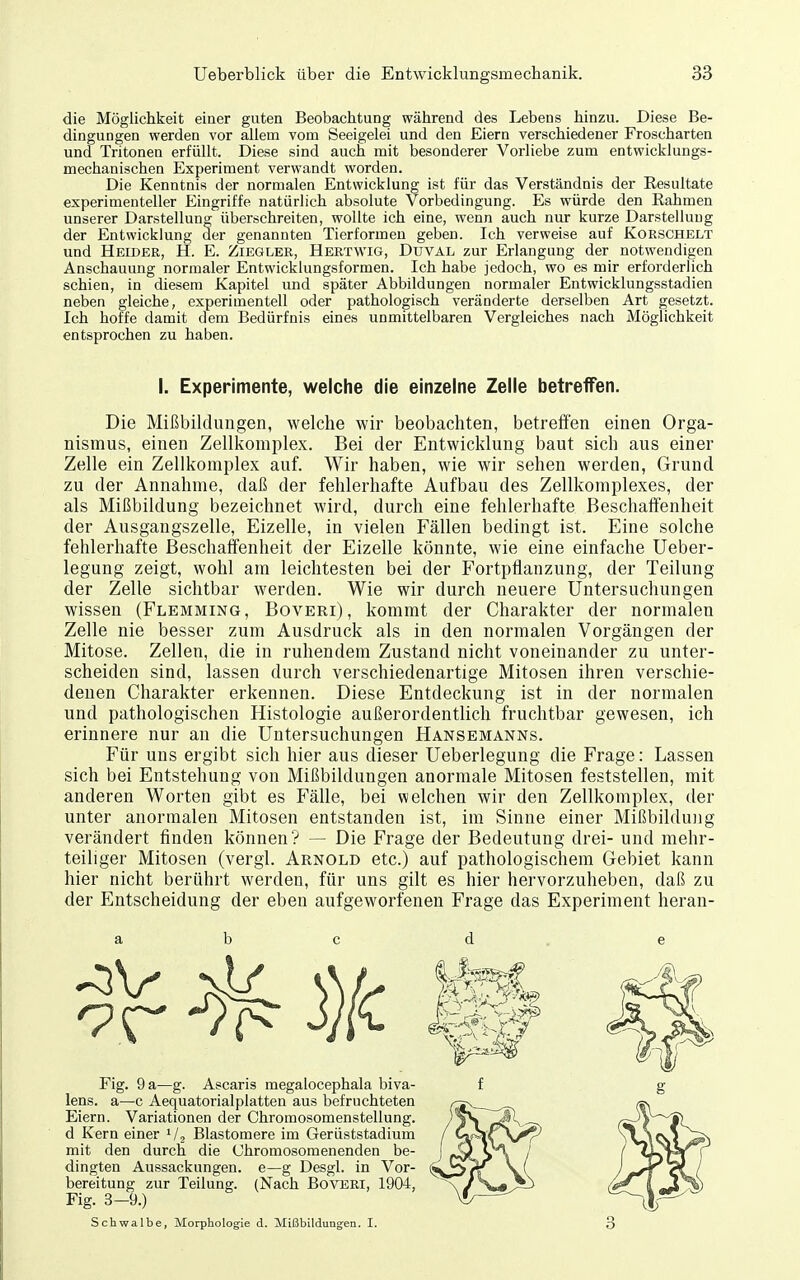 die Möglichkeit eiaer guten Beobachtung während des Lebens hinzu. Diese Be- dingungen werden vor allem vom Seeigelei und den Eiern verschiedener Froscharten und Tritonen erfüllt. Diese sind auch mit besonderer Vorliebe zum entwicklungs- mechanischen Experiment verwandt worden. Die Kenntnis der normalen Entwicklung ist für das Verständnis der Resultate experimenteller Eingriffe natürlich absolute Vorbedingung. Es würde den Rahmen unserer Darstellung überschreiten, wollte ich eine, wenn auch nur kurze Darstellung der Entwicklung der genannten Tierformen geben. Ich verweise auf Korschelt und Heider, H. E. Ziegler, Hertwig, Duval zur Erlangung der notwendigen Anschauung normaler Entwicklungsformen. Ich habe jedoch, wo es mir erforderlich schien, in diesem Kapitel und später Abbildungen normaler Entwicklungsstadien neben gleiche, experimentell oder pathologisch veränderte derselben Art gesetzt. Ich hoffe damit dem Bedürfnis eines unmittelbaren Vergleiches nach Möglichkeit entsprochen zu haben. Die Mißbildungen, welche wir beobachten, betreffen einen Orga- nismus, einen Zellkomplex. Bei der Entwicklung baut sich aus einer Zelle ein Zellkomplex auf. Wir haben, wie wir sehen werden, Grund zu der Annahme, daß der fehlerhafte Aufbau des Zellkomplexes, der als Mißbildung bezeichnet wird, durch eine fehlerhafte Beschaffenheit der Ausgangszelle, Eizelle, in vielen Fällen bedingt ist. Eine solche fehlerhafte Beschaffenheit der Eizelle könnte, wie eine einfache Ueber- legung zeigt, wohl am leichtesten bei der Fortpflanzung, der Teilung der Zelle sichtbar werden. Wie wir durch neuere Untersuchungen wissen (Flemming, Boveri), kommt der Charakter der normalen Zelle nie besser zum Ausdruck als in den normalen Vorgängen der Mitose. Zellen, die in ruhendem Zustand nicht voneinander zu unter- scheiden sind, lassen durch verschiedenartige Mitosen ihren verschie- denen Charakter erkennen. Diese Entdeckung ist in der normalen und pathologischen Histologie außerordentlich fruchtbar gewesen, ich erinnere nur au die Untersuchungen Hansemanns. Für uns ergibt sich hier aus dieser Ueberlegung die Frage: Lassen sich bei Entstehung von Mißbildungen anormale Mitosen feststellen, mit anderen Worten gibt es Fälle, bei welchen wir den Zellkomplex, der unter anormalen Mitosen entstanden ist, im Sinne einer Mißbildung verändert finden können? — Die Frage der Bedeutung drei- und mehr- teiliger Mitosen (vergl. Arnold etc.) auf pathologischem Gebiet kann hier nicht berührt werden, für uns gilt es hier hervorzuheben, daß zu der Entscheidung der eben aufgeworfenen Frage das Experiment heran- a b c d e I. Experimente, welche die einzelne Zelle betreffen. Fig. 9 a—g. Ascaris megalocephala biva- lens. a—c Aequatorialplatten aus befruchteten Eiern. Variationen der Chromosomenstellung, d Kern einer i/j Blastomere im Gerüststadium mit den durch die Chromosomenenden be- dingten Aussackungen, e—g Desgl. in Vor- bereitung zur Teilung. (Nach Boveri, 1904, Fig. 3-9.) f g Schwalbe, Morphologie d. Mißbildungen. I. 3