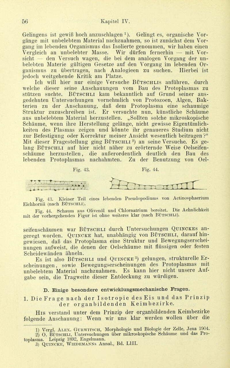 Gelingens ist gewiß hoch anzuschlagen ^). Gelingt es, organische Vor- gänge mit unbelebtem Material nachzuahmen, so ist zunächst dem Vor- gang im lebenden Organismus das Isolierte genommen, wir haben einen Vergleich an unbelebter Masse. Wir dürfen fernerhin — mit Vor- sicht — den Versuch wagen, die bei dem analogen Vorgang der un- belebten Materie gültigen Gesetze auf den Vorgang im lebenden Or- ganismus zu übertragen, nach Analogieen zu suchen. Hierbei ist jedoch weitgehende Kritik am Platze. Ich will hier nur einige Versuche Bütschlis anführen, durch welche dieser seine Anschauungen vom Bau des Protoplasmas zu stützen suchte. Bütschli kam bekanntlich auf Grund seiner aus- gedehnten Untersuchungen vornehmlich von Protozoen, Algen, Bak- terien zu der Anschauung, daß dem Protoplasma eine schaumige Struktur zuzuschreiben ist. Er versuchte nun. künstliche Schäume aus unbelebtem Material herzustellen. „Sollten solche mikroskopische Schäume, wenn ihre Herstellung gelänge, nicht gewisse Eigentümlich- keiten des Plasmas zeigen und könnte ihr genaueres Studium nicht zur Befestigung oder Korrektur meiner Ansicht wesentlich beitragen ? Mit dieser Fragestellung ging Bütschli an seine Versuche. Es ge- lang BÜTSCHLI auf hier nicht näher zu erörternde Weise Oelseifen- schäume herzustellen, die außerordentlich deutlich den Bau des lebenden Protoplasmas nachahmten. Zu der Benutzung von Oel- Fig. 43. Fig. 44. Fig. 43. Kleiner Teil eines lebenden Pseudopodiums von Actinosphaerium Eichhornii (nach Bütschli). Fig. 44. Schaum aus Olivenöl und Chlornatrium bereitet. Die Aehnlichkeit mit der vorhergehenden Figur ist ohne weiteres klar (nach Bütschli). Seifenschäumen war Bütschli durch Untersuchungen Quinckes an- geregt worden. Quincke hat, unabhängig von Bütschli, daraufhin- gewiesen, daß das Protoplasma eine Struktur und Bewegungserschei- nungen aufweist, die denen der Oelschäume mit flüssigen oder festen Scheidewänden ähneln. Es ist also Bütschli und Quincke ^) gelungen, strukturelle Er- scheinungen, sowie Bewegungserscheinungen des Protoplasmas mit unbelebtem Material nachzuahmen. Es kann hier nicht unsere Auf- gabe sein, die Tragweite dieser Entdeckung zu würdigen. D. Einige besondere entwicklungsmeclianische Fragen. 1. DieFrage nach der Isotropie des Eis und das Prinzip der 0 r g a n b i 1 d e n d e n K e i m b e z i r k e. Eis verstand unter dem Prinzip der organbildenden Keimbezirke folgende Anschauung: Wenn wir uns klar werden wollen über die 1) Vergl. Alex. Gurwitsch, Morphologie und Biologie der Zelle, Jena 1904. 2) 0. Bütschli, Untersuchungen über mikroskopische Schäume und das Pro- toplasma. Leipzig 1892, Engelmann. 3) Quincke, Wiedemanns Annal., Bd. LIII.