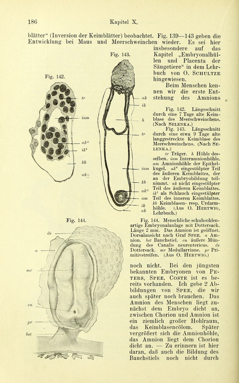 Entwicklung bei Fig. 142. blätter (Inversion der Keimblätter) beobachtet. Fig. 139—143 geben die Maus und Meerschweinchen wieder. Es sei hier insbesondere auf das Kapitel „Enibryonalhül- len und Placenta der Säugetiere in dem Lehr- buch von 0. SCHULTZE hingewiesen. Beim Menschen ken- nen wir die erste Ent- stehung des Amnions Fig. 142. Längsschnitt durch eine 7 Tage alte Keim- blase des Meerschweinchens. (Nach Selenka.) Fig. 143. Längsschnitt durch eine etwa 9 Tage alte langgestreckte Keim blase des Meerschweinchens. (Nach Se- lenka.) tr Träger, h Höhle des- selben, iam Interamnionhöhle. am Amnionhöhle der Epithel- kugel, ak* eingestülpter Teil des äußeren Keimblattes, der an der Embryobildung teil- nimmt, ak nicht eingestülpter Teil des äußeren Keimblattes. ik^ als Schlauch eingestülp>ter Teil des inneren Keimblattes. kb Keimblasen- resp. Urdarm- höhle. (Aus O. Heetwig, Lehrbuch.) artige Embryonalanlage mit Dottersack. Länge 2 mm. Das Amnion ist geöffnet. Dorsalansicht nach Graf Spee. a Am- nion, hst Bauchstiel, cn äußere Mün- dung des Canalis neurentericus. ch Dottersack, mr Medullarrinne. pr Pri- mitivstreifen. (Aus 0. Hertwig.) noch nicht. Bei den jüngsten bekannten Embryonen von Pe- ters, Spee, Coste ist es be- reits vorhanden. Ich gebe 2 Ab- bildungen von Spee, die wir auch später noch brauchen. Das Amnion des Menschen liegt zu- nächst dem Embryo dicht an, zwischen Chorion und Amnion ist ein ziemlich großer Hohlraum, das Keimblasencölom. Später vergrößert sich die Amnionhöhle, das Amnion liegt dem Chorion dicht an. — Zu erinnern ist hier daran, daß auch die Bildung des Bauchstiels noch nicht durch