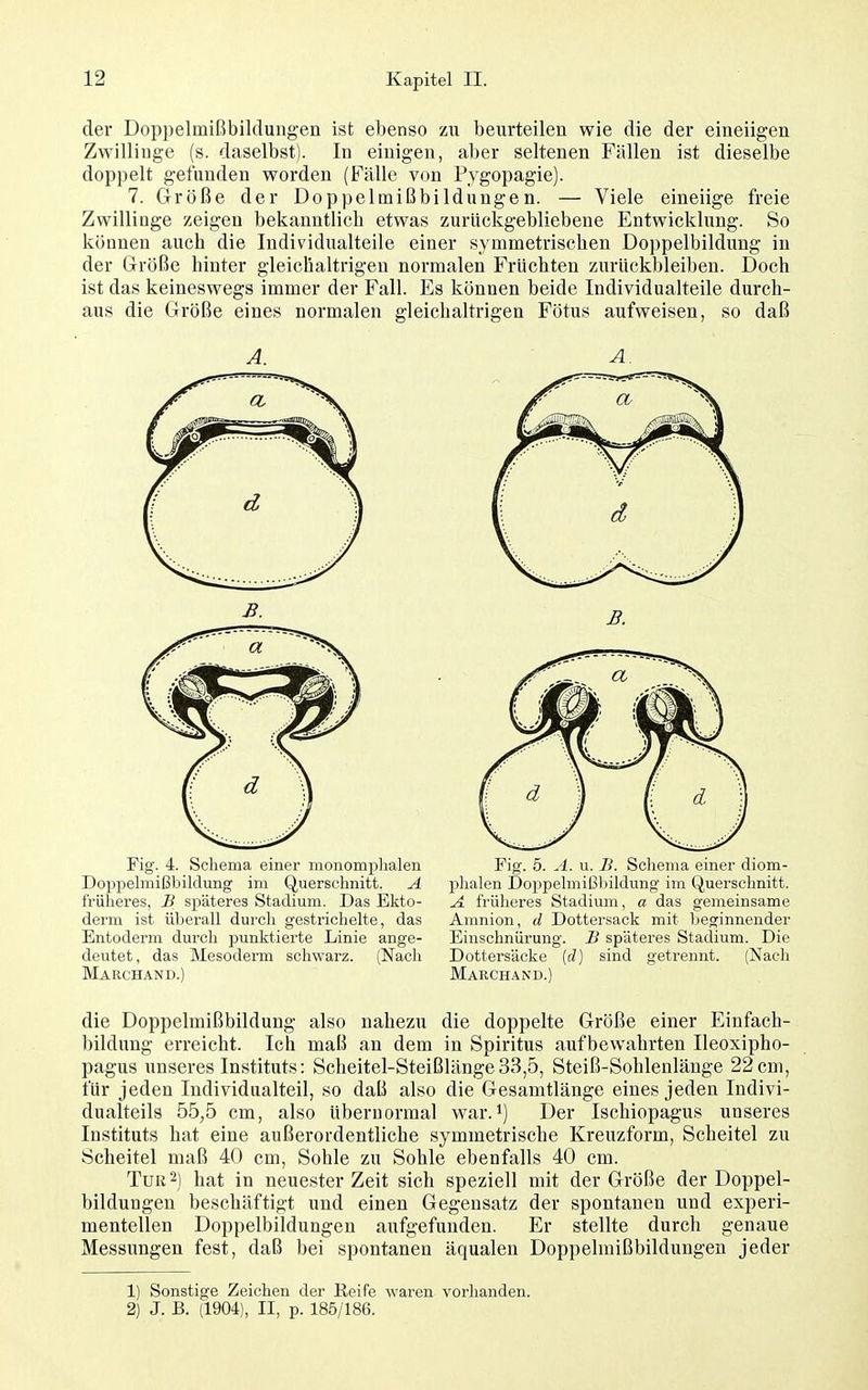 der Doppelmißbildungen ist ebenso zu beurteilen wie die der eineiigen Zwillinge (s. daselbst). In einigen, aber seltenen Fällen ist dieselbe doppelt gefunden worden (Fälle von Pygopagie). 7. Größe der Doppelmißbildungen. — Viele eineiige freie Zwillinge zeigen bekanntlich etwas zurückgebliebene Entwicklung. So können auch die Individualteile einer symmetrischen Doppelbildung in der Größe hinter gleichaltrigen normalen Früchten zurückbleiben. Doch ist das keineswegs immer der Fall. Es können beide Individualteile durch- aus die Größe eines normalen gleichaltrigen Fötus aufweisen, so daß Fig. 4. Schema einer monomplialen DopiDelmißbildung im Querschnitt. A früheres, B späteres Stadium. Das Ekto- derm ist überall durch gestrichelte, das Entoderm durch punktierte Linie ange- deutet, das Mesoderm schwarz. (Nach Marchand.) Fig. 5. A. u. B. Schema einer diom- plialen Doppelmißliildung im Querschnitt. A früheres Stadium, a das gemeinsame Amnion, d Dottersack mit beginnender Einschnürung. B späteres Stadium. Die Dottersäcke (d) sind getrennt. (Nach Marchand.) die Doppelmißbildung also nahezu die doppelte Größe einer Einfach- bildung erreicht. Ich maß an dem in Spiritus aufbewahrten Ileoxipho- pagus unseres Instituts: Scheitel-Steißlänge33,5, Steiß-Sohlenlänge 22cm, für jeden Individualteil, so daß also die Gesamtlänge eines jeden Indivi- dualteils 55,5 cm, also überuormal war.i) Der Ischiopagus unseres Instituts hat eine außerordentliche symmetrische Kreuzform, Scheitel zu Scheitel maß 40 cm. Sohle zu Sohle ebenfalls 40 cm. Tur2) hat in neuester Zeit sich speziell mit der Größe der Doppel- bildungen beschäftigt und einen Gegensatz der spontanen und experi- mentellen Doppelbildungen aufgefunden. Er stellte durch genaue Messungen fest, daß bei spontanen äqualen Doppelmißbildungen jeder 1) Sonstige Zeichen der Reife waren vorhanden. 2) J. B. (1904), II, p. 185/186.