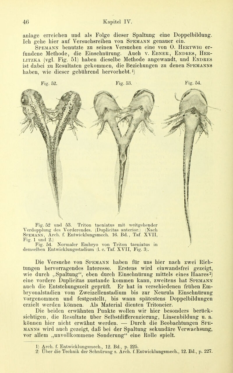 anläge erreichen und als Folge dieser Spaltung eine Doppelbildung. Ich gehe hier auf Versuchsreihen von Spemann genauer ein. Spemann benutzte zu seinen Versuchen eine von 0. Hertwig er- fundene Methode, die Einschnürung. Auch v. Ebner, Endkes, Her- LiTZKA (vgl. Fig. 51) haben dieselbe Methode angewandt, und Endres ist dabei zu Resultaten gekommen, die Beziehungen zu denen Spemanns haben, wie dieser gebührend hervorhebt, Fig. 52. Fig. 53. Fig. 54. demselben Entwicklungsstadium (1. c. Taf. XVII, Fig. 3). Die Versuche von Spemann haben für uns hier nach zwei Rich- tungen hervorragendes Interesse. Erstens wird einwandsfrei gezeigt, wie durch ,,Spaltung, eben durch Einschnürung mittels eines Haares eine vordere Duplicitas zustande kommen kann, zweitens hat Spemann auch die Entstehungszeit geprüft. Er hat in verschiedenen frühen Em- bryonalstadien vom Zweizellenstadium bis zur Neurula Einschnürung vorgenommen und festgestellt, bis wann spätestens Doppelbildungen erzielt werden können. Als Material dienten Tritoneier. Die beiden erwähnten Punkte wollen wir hier besonders berück- sichtigen, die Resultate über Selbstdifferenzierung, Linsenbildung u. a. können hier nicht erwähnt werden. — Durch die Beobachtungen Spe- manns wird auch gezeigt, daß bei der Spaltung sekundäre Verwachsung, vor allem „unvollkommene Sonderung eine Rolle spielt. 1) Arch. f. Entwicklungsmech., 12. Bd., p. 225. 2) Über die Technik der Schnürung s. Arch. f.Entwicklungsmech., 12. Bd., p. 227.
