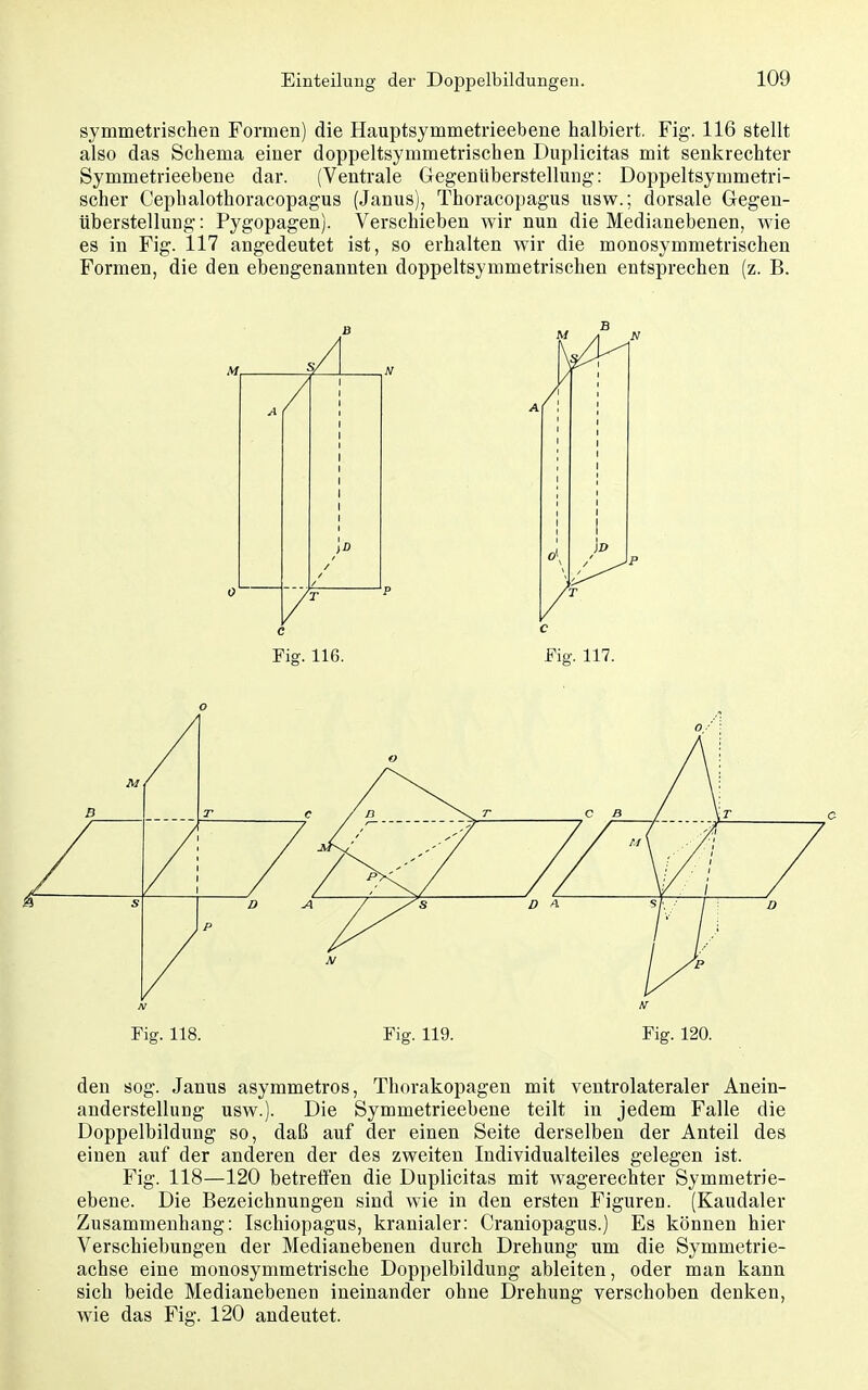 symmetrischen Formen) die Hauptsymmetrieebene halbiert. Fig. 116 stellt also das Schema einer doppeltsymmetrischen Duplicitas mit senkrechter Symmetrieebene dar. (Ventrale Gegenüberstellmig: Doppeltsymmetri- scher Cephalothoracopagus (Janus), Thoracopagus usw.; dorsale Gegen- überstellung : Pygopagen). Verschieben wir nun die Medianebenen, wie es in Fig. 117 angedeutet ist, so erhalten wir die monosymmetrischen Formen, die den ebengenannten doppeltsymmetrischen entsprechen (z. B. Fig. 118. Fig. 119. Fig. 120. den sog. Janus asymmetros, Thorakopagen mit ventrolateraler Anein- anderstellung usw.). Die Symmetrieebene teilt in jedem Falle die Doppelbildung so, daß auf der einen Seite derselben der Anteil des einen auf der anderen der des zweiten Individualteiles gelegen ist. Fig. 118—120 betreffen die Duplicitas mit wagerechter Symmetrie- ebene. Die Bezeichnungen sind wie in den ersten Figuren. (Kaudaler Zusammenhang: Ischiopagus, kranialer: Craniopagus.) Es können hier Verschiebungen der Medianebenen durch Drehung um die Symmetrie- achse eine monosymmetrische Doppelbildung ableiten, oder man kann sich beide Medianebenen ineinander ohne Drehung verschoben denken, wie das Fig. 120 andeutet.