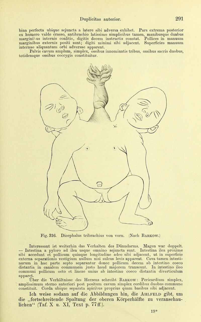 bina perfecta ubique sejuncta a latere sibi adversa exliibet. Pars extrema posterior ex humero valde crasso, antibracbio latissimo simplicibus tarnen, manibusque duabus marginil/us internis coalitis, digitis decem instructis constat. PoUices in manuum marginibus externis positi sunt; digiti minimi sibi adjaoent. Superficies manuum internae aliquantum orbi adversae apparent. Pelvis cavum amplum, simplex, ossibus innominatis tribus, ossibus sacris duobus, totidemque ossibus coccygis constituitur. Fig. 316. Dicephalus tribraehius von vorn. (Nach Barkow.) Interessant ist weiterhin das Verhalten des Dünndarms. Magen war doppelt. — Intestina a pyloro ad ilea usque omnino sejuncta sunt. Intestina ilea proxime sibi accedunt et pollicum quinque longitudine adeo sibi adjacent, ut in superficie externa separationis vestigium nulluni nisi sulcus levis appareat, Cava tarnen intesti- norum in hac parte septo separantur donec pollicum decem ab intestino coeco distantia in canalem communem justo haud majorem transeunt. In intestino ileo communi pollicum octo et lineae imius ab intestino coeco distantia diverticulum apparet. Uber die Verhältnisse des Herzens schreibt Barkow : Pericardium simplex, amplissimum sterno anteriori post positum cavum simplex cordibus duobus commune constituit. Corda ubique separata apicibus proprius quam basibus sibi adjacent. Ich weise sodann auf die Abbildungen bin, die Ahlfeld gibt, um die fortschreitende Spaltung der oberen Körperhälfte zu veranschau- lichen (Taf. X u. XI, Text p. 77 ff.). 19*