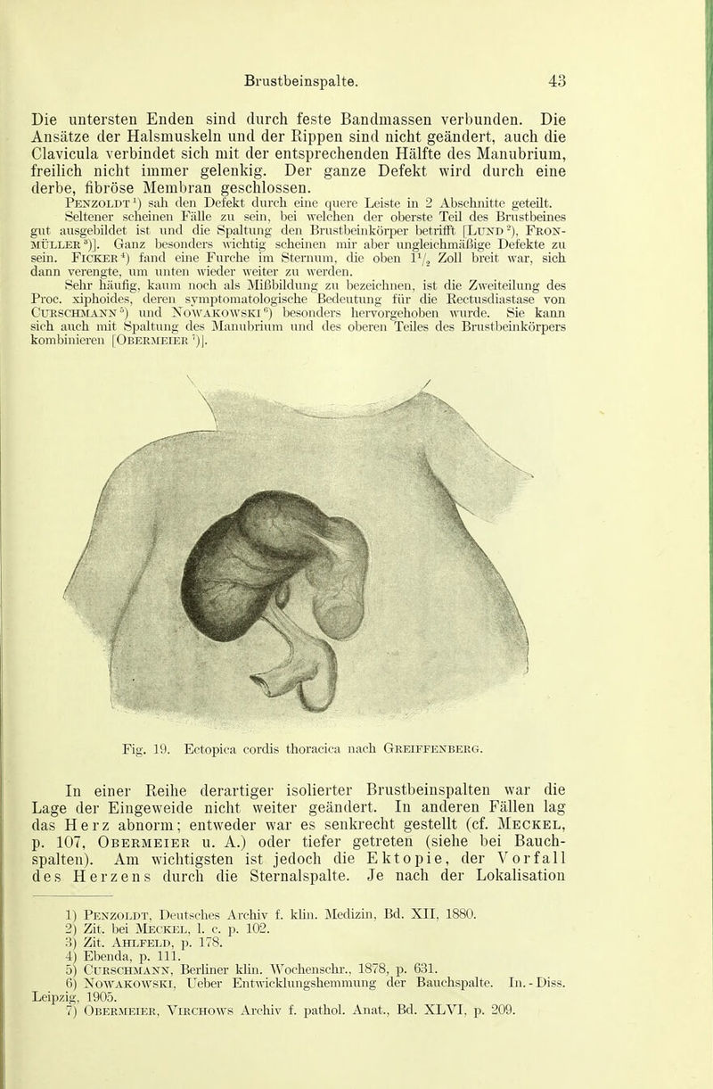 Die untersten Enden sind durch feste Bandmassen verbunden. Die Ansätze der Halsmuskeln und der Rippen sind nicht geändert, auch die Clavicula verbindet sich mit der entsprechenden Hälfte des Manubrium, freilich nicht immer gelenkig. Der ganze Defekt wird durch eine derbe, fibröse Membran geschlossen. Penzoldt^) sali den Defekt durch eine quere Leiste in 2 Abschnitte geteilt. Seltener scheinen Fälle zu sem, bei welchen der oberste Teil des Brustbeines gut ausgebildet ist und die Spaltimg den Brustbeinkörper betrifft [Luis^d-), FeojS- MÜLLEE^)]. Ganz besonders -nichtig scheinen mir aber ungleichmäßige Defekte zu sein. FiCKEE*) fand eine Furche im Sternum, die oben 1^/, Zoll breit war, sich dann verengte, um unten wieder weiter zu werden. Sehr häufig, kaum noch als Mißbildung zu bezeichnen, ist die Zweiteilung des Proc. xiphoides, deren symptomatologische Bedeutimg für die Kectusdiastase von CuRscHJiANivr) und No'wakowskibesonders hervorgehoben wurde. Sie kann sich auch mit Spaltung des Manubrium und des oberen Teiles des Brustbeinkörpers kombinieren [Obeeiieier ')]. \ Fig. 19. Ectopica cordis thoracica nach Geeiffe]SBERG. In einer Reihe derartiger isolierter Brustbeinspalten war die Lage der Eingeweide nicht weiter geändert. In anderen Fällen lag das Herz abnorm; entweder war es senkrecht gestellt (cf. Meckel, p. 107, Obermeier u. A.) oder tiefer getreten (siehe bei Bauch- spalten). Am wichtigsten ist jedoch die Ektopie, der Vorfall des Herzens durch die Sternalspalte. Je nach der Lokalisation 1) Penzoldt, Deutsches Archiv f. khn. Medizin, Bd. XII, 1880. 2) Zit. bei Meckel, 1. c. p. 102. 3) Zit. Aklfeld, p. 178. 4) Ebenda, p. III. 5) CuRscHMASN, Berüner klm. Wochenschi-., 1878, p. 6.31. 6) NowAKOWSKi, Ueber Entwicklungshemmung der Bauchspalte. In.-Diss. Leipzig, 1905. 7) Obermeier, Viechows Archiv f. pathol. Anat., Bd. XL VI, p. 209.