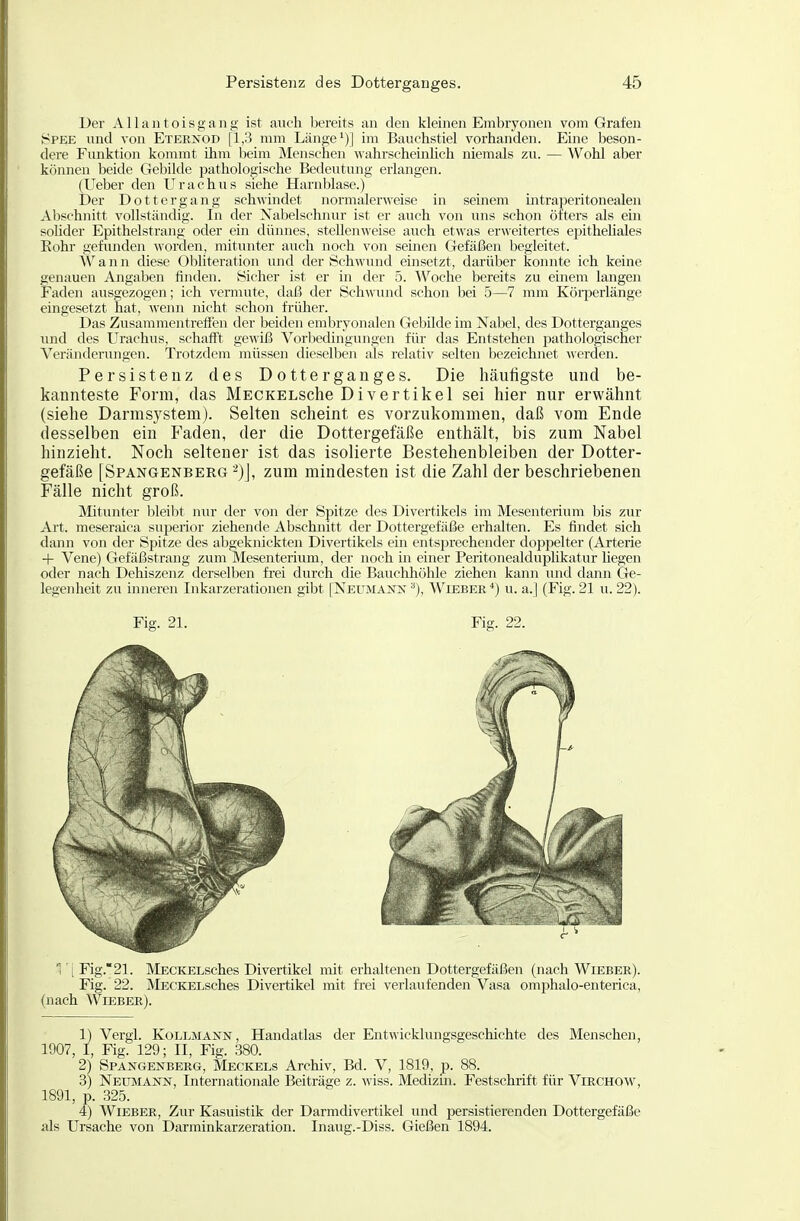 Der Allantoisgang ist auch bereits an den kleinen Embryonen vom Grafen ^^PEE ixnd von Eteenod [1,3 mm Länge')] im Bauchstiel vorhanden. Eine beson- dere Funktion kommt ihm beim Menschen wahrscheinhch niemals zu. — AVohl aber können beide Gebilde pathologische Bedeutung erlangen. (Ueber den Urachus siehe Harnblase.) Der Dottergang schwindet normalerweise in seinem intraperitonealen Abschnitt vollständig. In der Nabelschnur ist er auch von uns schon öfters als ein sohder Epithelstrang oder ein dünnes, stellenweise au.ch etwas erweitertes epithehales Eohr gefunden worden, mitunter auch noch von seinen Gefäßen begleitet. Wann cUese Obliteration und der Schwund einsetzt, darüber konnte ich keine genauen Angaben finden. Sicher ist er in der 5. AVoche bereits zu einem langen Faden ausgezogen; ich vermute, daß der Schwund schon bei 5—7 mm KöriDerlänge eingesetzt hat, wenji nicht schon früher. Das Zusammentreffen der beiden embryonalen Gebilde im Nabel, des Dotterganges und des Urachus, schafft gewiß Vorbedingungen für das Entstehen pathologischer Veränderungen. Trotzdem müssen dieselben als relativ selten bezeichnet werden. Persistenz des Dotterganges. Die häufigste und be- kannteste Form, das MECKELSche Divertikel sei hier nur erwähnt (siehe Darmsystem). Selten scheint es vorzukommen, daß vom Ende desselben ein Faden, der die Dottergefäße enthält, bis zum Nabel hinzieht. Noch seltener ist das isolierte Bestehenbleiben der Dotter- gefäße [Spangenberg zum mindesten ist die Zahl der beschriebenen Fälle nicht groß. Mitunter bleibt nur der von der Spitze des Divertikels im Mesenterium bis zur Art. meseraica superior ziehende Abschnitt der Dottergefäße erhalten. Es findet sich dann von der Spitze des abgeknickten Divertikels em entsprechender doppelter (Arterie + Vene) Gefäßstrang zum Mesenterium, der noch m einer Peritonealduplikatur hegen oder nach Dehiszenz derselben frei durch die Bauchhöhle ziehen kann luid dann Ge- legenheit zu inneren Inkarzerationen gibt [Neumann-'), Wiebee*) u. a.] (Fig. 21 u. 22). Fig. 21. Fig. 22. 1'[Fig.21. MECKELsches Divertikel mit erhaltenen Dottergefäßen (nach Wieber). Fig. 22. MECKELsches Divertikel mit frei verlaufenden Vasa omphalo-enterica, (nach Wlebee). 1) Vergl. Kollmann, Handatlas der Entwicklungsgeschichte des Menschen, 1907, I, Fig. 129; II, Fig. 380. 2) Spangenbeeg, Meckels Archiv, Bd. V, 1819, p. 88. 3) Netjmann, Internationale Beiträge z. wiss. Medizin. Festschrift für VißCHQW, 1891, p. 325. 4) Wiebee, Zur Kasuistik der Darmdivertikel und persistierenden Dottergefäße als Ursache von Darminkarzeration. Inaug.-Diss. Gießen 1894.