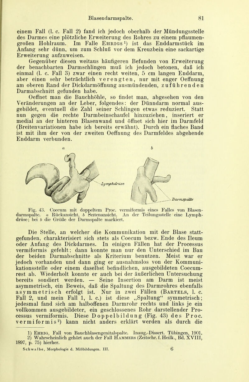 einem Fall (1. c. Fall 2) fand ich jedoch oberhalb der Mündungsstelle des Darmes eine plötzliche Erweiterung des Rohres zu einem pflaumen- großen Hohlraum. Im Falle Ehrigs ^) ist das Enddarmstück im Anfang sehr dünn, um zum Schluß vor dem Kreuzbein eine sackartige Erweiterung aufzuweisen. Gegenüber diesen weitaus häufigeren Befunden von Erweiterung der benachbarten Darmschlingen muß ich jedoch betonen, daß ich einmal (1. c. Fall 3) zwar einen recht weiten, 5 cm langen Enddarm, aber einen sehr beträchtlich verengten, nur mit enger Oelfnung am oberen Rand der Dickdarmöffnung ausmündenden, zuführenden Darmabschnitt gefunden habe. Oeffnet man die Bauchhöhle, so findet man, abgesehen von den Veränderungen an der Leber, folgendes: der Dünndarm normal aus- gebildet, eventuell die Zahl seiner Schlingen etwas reduziert. Statt nun gegen die rechte Darmbeinschaufel hinzuziehen, inseriert er medial an der hinteren Blasenwand und öffnet sich hier im Darmfeld (Breitenvariationen habe ich bereits erwähnt). Durch ein flaches Band ist mit ihm der von der zweiten Oeffnung des Darmfeldes abgehende Enddarm verbunden. Fig. 43. Coecum mit doppeltem Proc. vermiformis eines Falles von Blasen- darmspalte, a Rückansicht, h Seitenansicht. An der Teilungsstelle eine Lymph- drüse; bei h die Größe der Darmspalte markiert. Die Stelle, an welcher die Kommunikation mit der Blase statt- gefunden, charakterisiert sich stets als Coecum bezw. Ende des Ileum oder Anfang des Dickdarmes. In einigen Fällen hat der Processus vermiformis gefehlt; dann konnte man nur den Unterschied im Bau der beiden Darmabschnitte als Kriterium benutzen. Meist war er jedoch vorhanden und dann ging er ausnahmslos von der Kommuni- kationsstelle oder einem daselbst befindlichen, ausgebildeten Coecum- rest ab. Wiederholt konnte er auch bei der äußerlichen Untersuchung bereits sondiert werden. — Seine Insertion am Darm ist meist asymmetrisch, ein Beweis, daß die Spaltung des Darmrohres ebenfalls asymmetrisch erfolgt ist. Nur in zwei Fällen (Bartels, 1. c. Fall 2, und mein Fall 1, 1. c.) ist diese „Spaltung symmetrisch; jedesmal fand sich am halboffenen Darmrohr rechts und links je ein vollkommen ausgebildeter, ein geschlossenes Rohr darstellender Pro- cessus vermiformis. Diese Doppelbildung (Fig. 43) des Proc. vermiformis^) kann nicht anders erklärt werden als durch die 1) Ehuig, Fall von Bauchblasengenitalspalte. Inaug.-Dissert. Tübingen, 1901. 2) Wahrscheinhch gehört auch der Fall Hammers (Zeitschr.f.Heilk., Bd. XVIII, 1897, p. 75) hierher. Schwalbe, Morphologie d. Mißbildungen. III. 6 a h