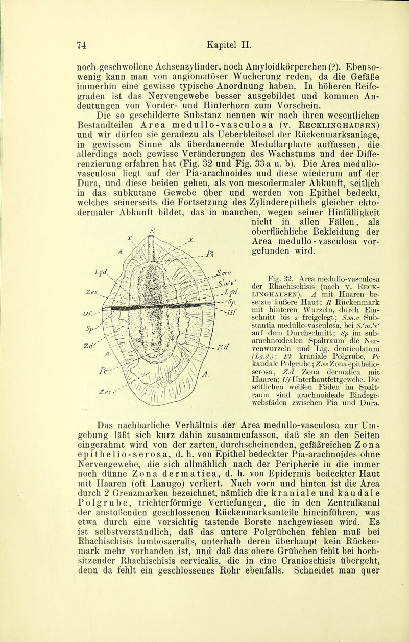 noch geschwollene Achsenzylinder, noch Amyloidkörperchen (?). Ebenso- wenig kann mau von angiomatöser Wucherung reden, da die Gefäße immerhin eine gewisse typische Anordnung haben. In höheren Reife- graden ist das Nervengewebe besser ausgebildet und kommen An- deutungen von Vorder- und Hinterhorn zum Vorschein. Die so geschilderte Substanz nennen wir nach ihren wesentlichen Bestandteilen Area medullo-vasculosa (v. Recklinghausen) und wir dürfen sie geradezu als Ueberbleibsel der Rückenmarksanlage, in gewissem Sinne als überdauernde Medullarplatte auffassen, die allerdings noch gewisse Veränderungen des Wachstums und der Diffe- renzierung erfahren hat (Fig. 32 und Fig. 33 a u. b). Die Area medullo- vasculosa liegt auf der Pia-arachnoides und diese wiederum auf der Dura, und diese beiden gehen, als von mesodermaler Abkunft, seitlich in das subkutane Gewebe über und werden von Epithel bedeckt, welches seinerseits die Fortsetzung des Zylinderepithels gleicher ekto- dermaler Abkunft bildet, das in manchen, wegen seiner Hinfälligkeit nicht in allen Fällen, als oberflächliche Bekleidung der Area medullo-vasculosa vor- gefunden wird. Fig. 32. Area medullo-vasculosa der Ehachischisis (nach v. Reck- LiNGHAUSEif). A mit Haaren be- setzte äußere Haut; R Rückenmark mit hinteren Wurzeln, durch Ein- schnitt bis X freigelegt; S.m.v Sub- stantia medullo-vasculosa, bei S.'m.'v' auf dem Durchschnitt; iSp im sub- arachnoidealen Spaltraum die Ner- venwurzeln und Lig. denticulatum (Lg.d.); Pk kraniale Polgrube, Pc kaudaie Polgrube; Z.es Zona epithelio- serosa, Z.d Zona dermatica mit Haaren; {//■ ünterhautfettgewebe. Die seitlichen weißen Fäden im Bpalt- raum sind arachnoideale Bindege- websfäden zwischen Pia und Dura. Das nachbarliche Verhältnis der Area medullo-vasculosa zur Um- gebung läßt sich kurz dahin zusammenfassen, daß sie an den Seiten eingerahmt wird von der zarten, durchscheinenden, gefäßreichen Zona epithelio-serosa, d. h. von Epithel bedeckter Pia-arachnoides ohne Nervengewebe, die sich allmählich nach der Peripherie in die immer noch dünne Zona dermatica, d. h. von Epidermis bedeckter Haut mit Haaren (oft Lanugo) verliert. Nach vorn und hinten ist die Area durch 2 Grenzmarken bezeichnet, nämlich die kraniale und kaudaie Polgrube, trichterförmige Vertiefungen, die in den Zentralkanal der anstoßenden geschlossenen Rückenmarksanteile hineinführen, was etwa durch eine vorsichtig tastende Borste nachgewiesen wird. Es ist selbstverständlich, daß das untere Polgrübchen fehlen muß bei Rhachischisis lumbosacralis, unterhalb deren überhaupt kein Rücken- mark mehr vorhanden ist, und daß das obere Grübchen fehlt bei hoch- sitzender Rhachischisis cervicalis, die in eine Cranioschisis übergeht, denn da fehlt ein geschlossenes Rohr ebenfalls. Schneidet man quer