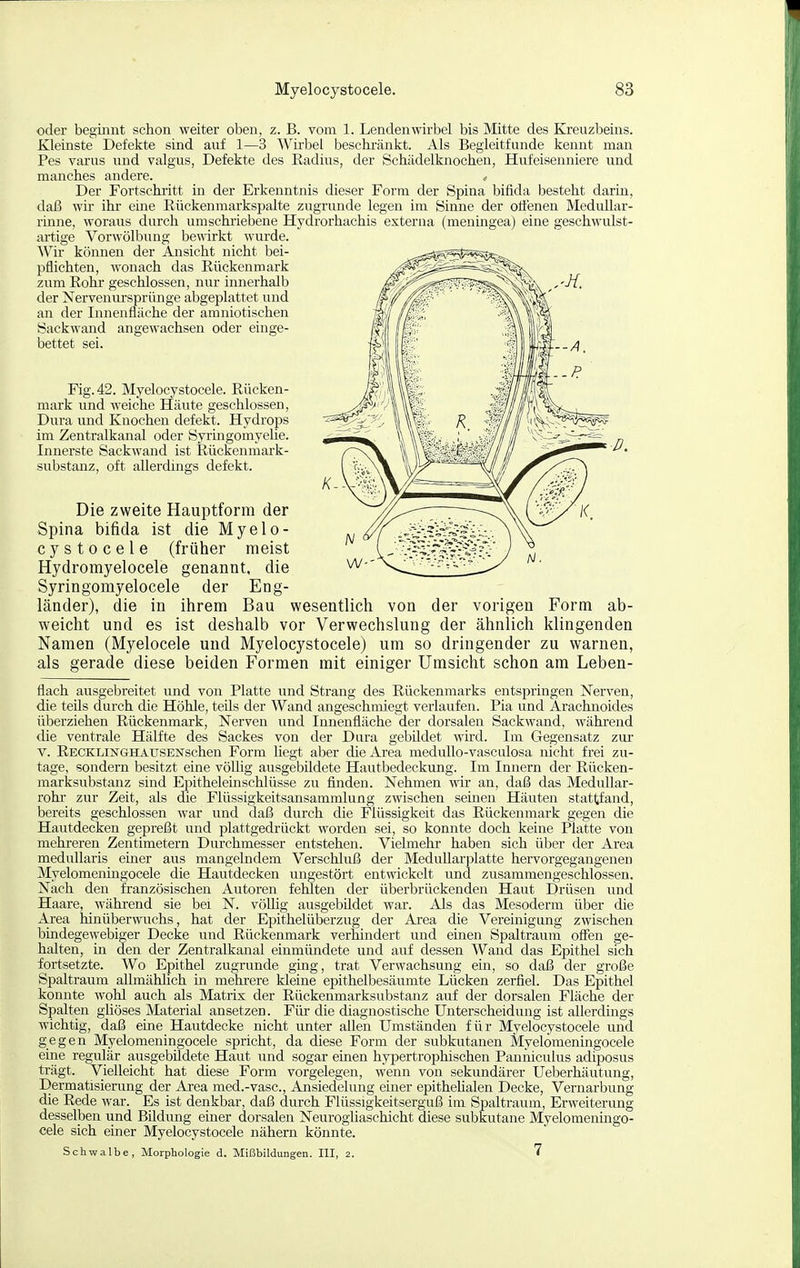 oder beginnt schon weiter oben, z. B. vom 1. Lendenwirbel bis Mitte des Kreuzbeins. Kleinste Defekte sind auf 1—3 Wirbel beschränkt. Als Begleitfunde kennt man Pes varus und valgus, Defekte des Radius, der Schädelknochen, Hufeisenniere und manches andere. c Der Fortschritt in der Erkenntnis dieser Form der Spina bifida besteht darin, daß wir ihr eine Eiickenmarkspalte zugrunde legen im Sinne der oäenen Medullar- rinne, woraus durch umschiiebene Hydrorhachis externa (meningea) eine geschwulst- artige Vorwölbung bewirkt wurde. Wir können der Ansicht nicht bei- pflichten, wonach das Eückenmark zum Eohr geschlossen, nur innerhalb der Nervenursprünge abgeplattet und an der Innenfläche der amniotischen Sackwand angewachsen oder einge- bettet sei. Fig. 42. Myelocystocele. Eücken- mark und weiche Häute geschlossen, Dura und Knochen defekt. Hydrops im Zentralkanal oder Syringomyelie. Innerste Sackwand ist Eückenmark- substanz, oft allerdings defekt. Die zweite Hauptform der Spina bifida ist die Myelo- cystocele (früher meist Hydromyelocele genannt, die Syringomyelocele der Eng- länder), die in ihrem Bau wesentlich von der vorigen Form ab- weicht und es ist deshalb vor Verwechslung der ähnlich klingenden Namen (Myelocele und Myelocystocele) um so dringender zu warnen, als gerade diese beiden Formen mit einiger Umsicht schon am Leben- flach ausgebreitet und von Platte und Strang des Rückenmarks entspringen Nerven, die teüs durch die Höhle, teils der Wand angeschmiegt verlaufen. Pia und Arachnoides überziehen Rückenmark, Nerven und Innenfläche der dorsalen Sackwand, während die ventrale Hälfte des Sackes von der Dura gebildet wird. Im Gegensatz zur V. RECKLiNGHATJSENschen Form liegt aber che Area medullo-vasculosa nicht frei zu- tage, sondern besitzt eine völlig ausgebildete Hautbedeckung. Im Innern der Rücken- marksubstanz sind Epitheleinschlüsse zu finden. Nehmen wir an, daß das Medullar- rohr zur Zeit, als die Flüssigkeitsansammlung zwischen seinen Häuten stattfand, bereits geschlossen war und daß durch die Flüssigkeit das Rückenmark gegen die Hautdecken gepreßt und plattgedrückt worden sei, so konnte doch keine Platte von mehreren Zentimetern Durchmesser entstehen. Vielmehr haben sich über der Area medullaris einer aus mangelndem Verschluß der Medullarplatte hervorgegangenen Myelomeningocele die Hautdecken ungestört entwickelt und zusammengeschlossen. Nach den französischen Autoren fehlten der überbrückenden Haut Drüsen und Haare, während sie bei N. völlig ausgebildet war. Als das Mesoderm über die Area hinüberwuchs, hat der Epithel Überzug der Area die Vereinigung zwischen bindegewebiger Decke und Rückenmark verhindert und einen Spaltraum offen ge- halten, in den der Zentralkanal einmündete und auf dessen Wand das Epithel sich fortsetzte. Wo Epithel zugrunde ging, trat Verwachsung ein, so daß der große Spaltraum allmählich in mehrere kleine epithelbesäumte Lücken zerfiel. Das Epithel konnte wohl auch als Matrix der Rückenmarksubstanz auf der dorsalen Fläche der Spalten gliöses Material ansetzen. Für die diagnostische Unterscheidung ist allerdings wichtig, daß eine Hautdecke nicht unter allen Umständen für Myelocystocele und gegen Myelomeningocele spricht, da diese Form der subkutanen Myelomeningocele eine regulär ausgebildete Haut und sogar einen hypertrophischen Panniculus adiposus trägt. Vielleicht hat diese Form vorgelegen, wenn von sekundärer Ueberhäutung, Dermatisierung der Area med.-vasc, Ansiedelung einer epithehalen Decke, Vernarbung die Rede war. Es ist denkbar, daß durch Flüssigkeitserguß im Spaltraum, Erweiterung desselben und Bildung einer dorsalen Neuroghaschicht diese subkutane Myelomenmgo- cele sich einer Myelocystocele nähern könnte. Schwalbe, Morphologie d. Mißbildungen. III, 2. 7