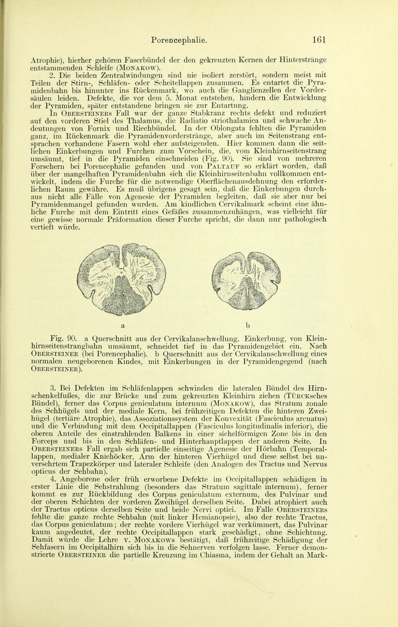 Atrophie), hierher gehören Faserbündel der den gekreuzten Kernen der Hinterstränge entstammenden Schleife (Monakow). 2. Die beiden Zentralwindnngen sind nie isoliert zerstört, sondern meist mit Teilen der Stirn-, Schläfen- oder Scheitellappen zusammen. Es entartet die Pyra- midenbahn bis hinunter ins ßückenmark, wo auch die Ganglienzellen der Vorder- säulen leiden. Defekte, die vor dem 5. Monat entstehen, hindern die Entwicklung der Pyi-amiden, später entstandene bringen sie zur Entartung. In Obersteiners Fall war der ganze Stabkranz rechts defekt und reduziert auf den vorderen Stiel des Thalamus, die Radiatio striothalamica und schwache An- deutungen von Fornix und Riechbündel. In der Oblongata fehlten die Pyramiden ganz, im Rückenmark die Pyramidenvorderstränge, aber auch im Seitenstrang ent- sprachen vorhandene Fasern wohl eher aufsteigenden. Hier kommen dann die seit- lichen Einkerbungen und Furchen zum Vorschein, die, vom Kleinhirnseitenstrang umsäumt, tief in die Pyramiden einschneiden (Fig. 90). Sie sind von mehreren Forschern bei Porencephalie gefunden und von Pältauf so erklärt worden, daß über der mangelhaften Pyramidenbahn sich die Kleinhirnseitenljahii vollkommen ent- wickelt, indem die Furche für die notwendige Oberfiächenausdehnung den erforder- lichen Raum gewähre. Es muß übrigens gesagt sein, daß die Einkerbungen durch- aus nicht alle Fälle von Agenesie der Pyramiden begleiten, daß sie aber nur bei Pyramidenmangel gefunden wurden. Am kindlichen Cervikalmark scheint eine ähn- hche Furche mit dem Eintritt eines Gefäßes zusammenzuhängen, was vielleicht für eine gewisse normale Präformation dieser Furche spricht, die dann nur pathologisch vertieft würde. a b Fig. 90. a Querschnitt aus der Cervikalanschwellung. Emkerbung, von Klein- hirnseitenstrangbahn umsäumt, schneidet tief in das Pyramiden gebiet ein. Nach Obersteinee (bei Porencephalie). b Querschnitt aus der Cervikalanschwellung emes normalen neugeborenen Kindes, mit Einkerbungen in der Pyramidengegend (nach Obeesteiner). .3. Bei Defekten im Schläfenlappen schwinden die lateralen Bündel des Hirn- schenkelfußes, die zur Brücke und zum gekreuzten Kleinhirn ziehen (TÜECKsches Bündel), ferner das Corpus geniculatum internum (Monakow), das Stratum zonale des Sehhügels und der mediale Kern, bei frühzeitigen Defekten die hinteren Zwei- hügel (tertiäre Atrophie), das Assoziationssystem der Konvexität (Fasciculus arcuatus) und die Verbindung mit dem Occipitallappen (Fasciculus longitudinahs inferior), die oberen Anteile des einstrahlenden Balkens in einer sichelförmigen Zone bis in den Forceps und bis in den Schläfen- und Hinterhauptlappen der anderen Seite. In Obersteiners Fall ergab sich partielle emseitige Agenesie der Hörbahn (Temporal- lappen, medialer Kniehöcker, Ai'm der hinteren Vierhügel und diese selbst bei un- versehrtem Trapezkörper und lateraler Schleife (den Analogen des Tractus und Nervus opticus der Sehbahn). 4. Angeborene oder früh erworbene Defekte im Occipitallappen schädigen in erster Linie die Sehstrahlung (besonders das Stratum sagittale internum), ferner kommt es zur Rückbildung des Corpus geniculatum externum, des Pulvinar und der oberen Schichten der vorderen Zweihügel derselben Seite. Dabei atrophiert auch der Tractus opticus derselben Seite und beide Nervi optici. Im FaUe Obersteiners fehlte die ganze rechte Sehbahn (mit linker Hemianopsie), also der rechte Tractus, das Corpus geniculatum; der rechte vordere Vierhügel war verkümmert, das Pulvinar kaum angedeutet, der rechte Occipitallappen stark geschädigt, ohne Schichtung. Damit würde die Lehre v. Monakows bestätigt, daß frühzeitige Schädigung der Sehfasern im Occipitalhirn sich bis in die Sehnerven verfolgen lasse. Ferner demon- strierte Obersteinee die partielle Kreuzung im Chiasma, indem der Gehalt an Mark-