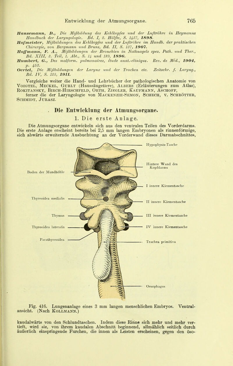 Hansemann, D., Die Blißbildung des Kehlkopfes und der Luftröhre in Heymanns Handbuch der Laryngologie. Bd. I, 2. Hälfte, S. 1437, 1898. Hofmeister, Mißbildungen des Kehlkopfes und der Luftröhre im Handb. der praktischen Chinirgie, von Bergmann und Bruns, Bd. II, S. 137, 1907. Hoffmann, F. A., 3Iißbildungen der Bronchien in Nothnagels spez. Path. und Ther., Bd. XIII, 3. Teil, 1. Abt., S. I4 und 189, 1896. Humbert, G., Des malform, pulmonaires, Stüde anat.-clinique. Rev. de Med., 1904:, p. 453. Oevtel, Die Mißbildungen der Larynx und der Trachea etc. Zeitschr. f. Laryng., Bd. IV, 8. 1S5, 1911. Vergleiche weiter die Hand- und Lehrbücher der pathologischen Anatomie von VoiGTEL, Meckel, Guelt (Haussäugetiere), Albers (Erläuterungen zum Atlas), Rokitansky, Birch-Hirschfeld, Orth, Ziegler, Kaufmann, Aschoff, ferner die der Laryngologie von Mäckenzie-Semon, Schech, v. Bchrötter, Schmidt, Juräsz. . Die Entwicklung der Atmungsorgane. 1. Die erste Anlage. Die Atmungsorgane entwickeln sich aus den ventralen Teilen des Vorderdarms. Die erste Anlage erscheint bereits bei 2,5 mm langen Embryonen als rinnenförmige, sich abwärts erweiternde Ausbuchtung an der Vorderwand dieses Darmabschnittes, Boden der Mundhöhle Thyreoidea medialis Thymus Thyreoidea lateralis Parathyreoidea Hypophysis-Tasche Hintere Wand des Kopfdarms I innere Kiementasche II innere Kiementasche III innere Kiementasche IV innere Kiementasche Trachea primitiva  Oesophagus Fig. 416. Lungenanlage eines 3 mm langen menschlichen Embryos. Ventral- ansicht. (Nach Kollmann.) kaudalwärts von den Schlundtaschen. Indem diese Rinne sich mehr und mehr ver- tieft, wird sie, von ihrem kaudalen Abschnitt beginnend, allmählich seitlich durch äußerlich einspringende Furchen, die Lünen als Leisten erscheinen, gegen den öso-