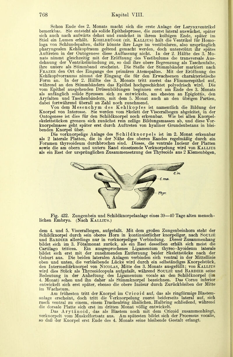 Schon Ende des 2. Monats macht sich die erste Anlage der Larynxventrikel bemerkbar. Sie entsteht als solide Epithelsprosse, die zuerst lateral auswächst, später sich auch nach aufwärts dehnt und zunächst in ihrem kolbigen Ende, später im Stiel ein Lumen erhält. Kohlbeügge (zit. Kalliüs) hält die Ventrikel für Homo- loga von Schlundspalten, dafür könnte ihre Lage im vestibulären, also ursprüngUch pharyngealen Kehlkopfraum geltend gemacht werden, doch unterstützt ihr spätes Auftreten in der Ontogenese diese Auffassung nicht. In der 2. Hälfte des 3. Mo- nats nimmt gleichzeitig mit der Eröffnung des Vestibulums die transversale Aus- dehnung der Ventrikelmündung zu, so daß ihre obere Begrenzung als Taschenfalte, ihre untere als Stimmband erscheint. Die Stelle der Stimmbänder markiert nach FßAZER den Ort des Eingangs des primären Atemspaltes. Mit der Eröffnung des Kehlkopfvorraums nimmt der Eingang die für den Erwachsenen charakteristische Form an. In der 2. Hälfte des 3. Monats tritt zuerst das Flimmerepithel auf, während an den Stimmbändern das Epithel hochgeschichtet polyedrisch wird. Die vom Epithel ausgehenden Drüsenbildungen beginnen erst am Ende des 3. Monats als anfänglich solide Sprossen sich zu entwickeln, am ehesten an Epiglottis, den Aryfalten und Taschenbändern, mit dem 5. Monat auch an den übrigen Partien, dabei fortwährend überall an Zahl noch zunehmend. Von dem Mesenchym des Kehlkopfes ist namentlich die Bildung der Knorpel von Interesse. Sie werden vom Skelett der Visceralbogen abgeleitet, in der Ontogenese ist dies für den Schildknorpel noch erkennbar. Wie bei allen Knorpel- skelettstücken grenzen sich zunächst rein zellige Bildungsmassen ab, und diese Vor- knorpelmasse geht später erst durch Auftreten von hyaliner Grundsubstanz in blei- benden Knorpel über. Die vorknorpelige Anlage des Schildknorpels ist im 2. Monat erkennbar als 2 laterale Platten, die in der Nähe des oberen Eandes regelmäßig durch ein Foramen thyreoideum durchbrochen sind. Dieses, die ventrale Incisur der Platten sowie die am obern und untern Rand einsetzende Verknorpelung wird von Kallius als ein Rest der ursprünglichen Zusammensetzung des Thyreoids aus 2 Kiemenbögen, Fig. 422. Zungenbein und Schildknorpelanlage eines 39—40 Tage alten mensch- lichen Embryo. (Nach Kallius.) dem 4. und 5. Visceralbogen, aufgefaßt. Mit dem großen Zungenbeinhorn steht der Schildknorpel durch sein oberes Horn in kontinuierUcher knorpeliger, nach Soulie und Bardier allerdings nur in vorknorpeUger Verbindung. Dieser Zusammenhang bildet sich im 3. Fötalmonat zurück, als ein Rest desselben erhält sich meist die Cartilago triticea. Ein ausgesprochenes Ligamentum thyreo - hyoideum laterale bildet sich erst mit der zunehmenden Entfernung beider Skelettstücke nach der Geburt aus. Die beiden lateralen Anlagen verbinden sich ventral in der Mittellinie oben und unten, die verbleibende Lücke wird durch ein selbständiges Knorpelstück, den Intermediärknorpel von Nicolas, Mitte des 3. Monats ausgefüllt; von Kallius wird dies Stück als Thyreoidcopula aufgefaßt, während Soulie und Baedier seine Bedeutung in der Anheftung des Ligamentum vocale an den Schildknorpel (im 4. Monat) sehen und ihn daher als Stimmknorpel bezeichnen. Das Cornu inferior entwickelt sich erst später, ebenso die obere Inzisur durch Zurückbleiben der Mitte im Wachstum. Am frühesten tritt der Knorpel im C r i c o i d auf, das als ringförmige Blastem- anlage erscheint, doch tritt die Verknorpelung zuerst beiderseits lateral auf, sich rasch ventral zu einem, einem Trachealring ähnlichen, Halbring schließend, während die dorsale Platte sich erst im dritten Monat völlig entwickelt. Das Arytänoid, das als Blastem noch mit dem Cricoid zusammenhängt, verknorpelt vom Muskelfortsatz aus. Am spätesten bildet sich der Processus vocalis, so daß der Knorpel erst Ende des 4. Monats seine bleibende Gestalt erlangt.