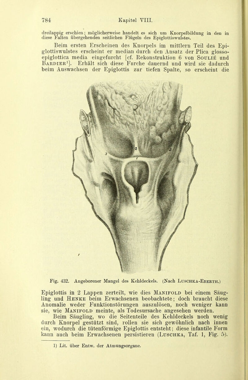 dreilappig erschien; möglicherweise handelt es sich um Knorpelbildung in den in diese Falten übergehenden seitlichen Flügeln des Epiglottiswulstes. Beim ersten Erscheiuen des Knorpels im mittleru Teil des Epi- glottiswulstes erscheint er median durch den Ansatz der Plica glosso- epiglottica media eingefurcht [cf. Rekonstruktion 6 von Soulie und Bardier^]. Erhält sich diese Furche dauernd und wird sie dadurch beim Auswachsen der Epiglottis zur tiefen Spalte, so erscheint die Fig. 432. Angeborener Mangel des Kehldeckels. (Nach Luschka-Eberth.) Epiglottis in 2 Lappen zerteilt, wie dies Manifold bei einem Säug- ling und Henke beim Erwachsenen beobachtete; doch braucht diese Anomalie weder Funktionstörungen auszulösen, noch weniger kann sie, wie Manifold meinte, als Todesursache angesehen werden. Beim Säugling, wo die Seitenteile des Kehldeckels noch wenig durch Knorpel gestützt sind, rollen sie sich gewöhnlich nach innen ein, wodurch die tütenförmige Epiglottis entsteht; diese infantile Form kann auch beim Erwachseneu persistieren (Luschka, Taf. 1, Fig. 5). 1) Lit. über Entw. der Atmungsorgane.