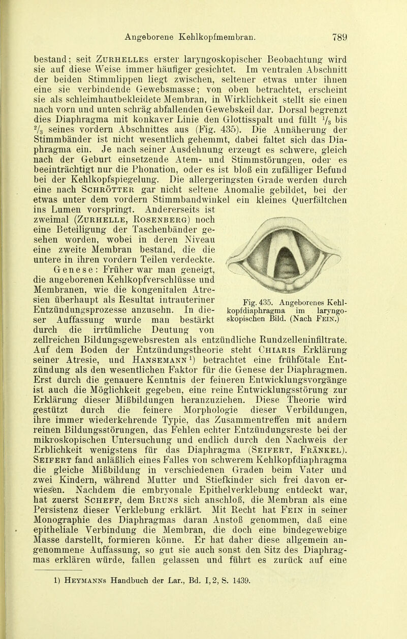 bestand; seit Zurhelles erster larj'iig-oskopischer Beobachtung' wird sie auf diese Weise immer häufiger gesichtet. Im ventralen Abschnitt der beiden Stimmlippen liegt zwischen, seltener etwas unter ihnen eine sie verbindende Gewebsmasse; von oben betrachtet, erscheint sie als schleimhautbekleidete Membran, in Wirklichkeit stellt sie einen nach vorn und unten schräg abfallenden Gewebskeil dar. Dorsal begrenzt dies Diaphragma mit konkaver Linie den Glottisspalt und füllt Ys bis 2/3 seines vordem Abschnittes aus (Fig. 435). Die Annäherung der Stimmbänder ist nicht wesentlich gehemmt, dabei faltet sich das Dia- phragma ein. Je nach seiner Ausdehnung erzeugt es schwere, gleich nach der Geburt einsetzende Atem- und Stimmstörungen, oder es beeinträchtigt nur die Phonation, oder es ist bloß ein zufälliger Befund bei der Kehlkopfspiegelung. Die allergeringsten Grade werden durch eine nach Schrotter gar nicht seltene Anomalie gebildet, bei der etwas unter dem vordem Stimmbandwinkel ein kleines Querfältchen ins Lumen vorspringt. Andererseits ist zweimal (Zurhelle, Rosenberg) noch eine Beteiligung der Taschenbänder ge- sehen worden, wobei in deren Niveau eine zweite Membran bestand, die die untere in ihren vordem Teilen verdeckte. Genese: Früher war man geneigt, die angeborenen Kehlkopfverschlüsse und Membranen, wie die kongenitalen Atre- sien überhaupt als Resultat intrauteriner ^ig. 435. Angeborenes Kehl- Entzündungsprozesse anzusehn. In die- kopfdiaphragma im laryngo- ser Auffassung wurde man bestärkt skopischen Bild. (Nach Fein.) durch die irrtümliche Deutung von zellreichen Bildungsgewebsresten als entzündliche Rundzelleninfiltrate. Auf dem Boden der Entzündungstheorie steht Chiaris Erklärung seiner Atresie, und Hansemann ^) betrachtet eine frühfötale Ent- zündung als den wesentlichen Faktor für die Genese der Diaphragmen. Erst durch die genauere Kenntnis der feineren Entwicklungsvorgänge ist auch die Möglichkeit gegeben, eine reine Entwicklungsstörung zur Erklärung dieser Mißbildungen heranzuziehen. Diese Theorie wird gestützt durch die feinere Morphologie dieser Verbildungen, ihre immer wiederkehrende Typie, das Zusammentretfen mit andern reinen Bildungsstörungen, das Fehlen echter Entzüudungsreste bei der mikroskopischen Untersuchung und endlich durch den Nachweis der Erblichkeit wenigstens für das Diaphragma (Seifert, Frankel). Seifert fand anläßlich eines Falles von schwerem Kehlkopfdiaphragma die gleiche Mißbildung in verschiedenen Graden beim Vater und zwei Kindern, während Mutter und Stiefkinder sich frei davon er- wiesen. Nachdem die embryonale Epithelverklebung entdeckt war, hat zuerst Scheff, dem Bruns sich anschloß, die Membran als eine Peisistenz dieser Verklebung erklärt. Mit Recht hat Fein in seiner Monographie des Diaphragmas daran Anstoß genommen, daß eine epitheliale Verbindung die Membran, die doch eine bindegewebige Masse darstellt, formieren könne. Er hat daher diese allgemein an- genommene Auffassung, so gut sie auch sonst den Sitz des Diaphrag- mas erklären würde, fallen gelassen und führt es zurück auf eine