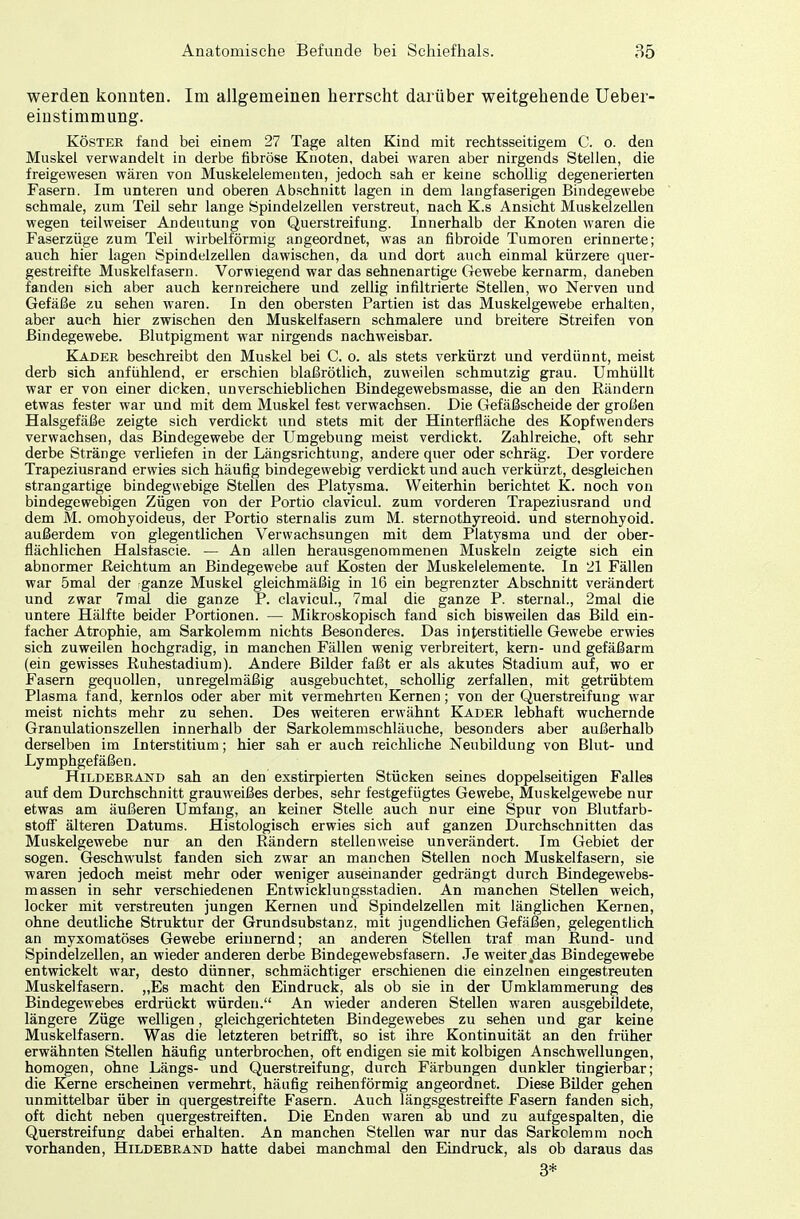 werden konnten. Im allgemeinen herrscht darüber weitgehende Uebei- einstimmung. Köster fand bei einem 27 Tage alten Kind mit rechtsseitigem C. o. den Muskel verwandelt in derbe fibröse Knoten, dabei waren aber nirgends Stellen, die freigewesen wären von Muskelelementen, jedoch sah er keine schollig degenerierten Fasern. Im unteren und oberen Abschnitt lagen in dem langfaserigen Bindegewebe schmale, zum Teil sehr lange Spindelzellen verstreut, nach K.s Ansicht Muskelzellen wegen teilweiser Andeutung von Querstreifung. Innerhalb der Knoten waren die Faserzüge zum Teil wirbeiförmig angeordnet, was an fibroide Tumoren erinnerte; auch hier lagen Spindelzellen dawischen, da und dort auch einmal kürzere quer- gestreifte Muskelfasern. Vorwiegend war das sehnenartige Gewebe kernarm, daneben fanden sich aber auch kernreichere und zellig infiltrierte Stellen, wo Nerven und Gefäße zu sehen waren. In den obersten Partien ist das Muskelgewebe erhalten, aber auch hier zwischen den Muskelfasern schmalere und breitere Streifen von Bindegewebe. Blutpigment war nirgends nachweisbar. Kader beschreibt den Muskel bei C. o. als stets verkürzt und verdünnt, meist derb sich anfühlend, er erschien blaßrötlich, zuweilen schmutzig grau. Umhüllt war er von einer dicken, unverschieblichen Bindegewebsmasse, die an den Rändern etwas fester war und mit dem Muskel fest verwachsen. Die Gefäßscheide der großen Halsgefäße zeigte sich verdickt und stets mit der Hinterfläche des Kopfwenders verwachsen, das Bindegewebe der Umgebung meist verdickt. Zahlreiche, oft sehr derbe Stränge verliefen in der Längsrichtung, andere quer oder schräg. Der vordere Trapeziusrand erwies sich häufig bindegewebig verdickt und auch verkürzt, desgleichen strangartige bindegwebige Stellen des Platysma. Weiterhin berichtet K. noch von bindegewebigen Zügen von der Portio clavicul. zum vorderen Trapeziusrand und dem M. omohyoideus, der Portio sternalis zum M. sternothyreoid. und sternohyoid. außerdem von glegentlichen Verwachsungen mit dem Platysma und der ober- flächlichen Halstascie. — An allen herausgenommenen Muskeln zeigte sich ein abnormer Reichtum an Bindegewebe auf Kosten der Muskelelemente. In 21 Fällen war 5mal der ganze Muskel gleichmäßig in 16 ein begrenzter Abschnitt verändert und zwar 7mal die ganze P. clavicul., 7mal die ganze P. sternal., 2mal die untere Hälfte beider Portionen. — Mikroskopisch fand sich bisweilen das Bild ein- facher Atrophie, am Sarkolemm nichts Besonderes. Das interstitielle Gewebe erwies sich zuweilen hochgradig, in manchen Fällen wenig verbreitert, kern- und gefäßarm (ein gewisses Ruhestadium). Andere Bilder faßt er als akutes Stadium auf, wo er Fasern gequollen, unregelmäßig ausgebuchtet, scholhg zerfallen, mit getrübtem Plasma fand, kernlos oder aber mit vermehrten Kernen; von der Querstreifung war meist nichts mehr zu sehen. Des weiteren erwähnt Kader lebhaft wuchernde Granulationszellen innerhalb der Sarkolemmschläuche, besonders aber außerhalb derselben im Interstitium; hier sah er auch reichliche Neubildung von Blut- und Lymphgefäßen. Hildebrand sah an den exstirpierten Stücken seines doppelseitigen Falles auf dem Durchschnitt grauweißes derbes, sehr festgefügtes Gewebe, Muskelgewebe nur etwas am äußeren Umfang, an keiner Stelle auch nur eine Spur von Blutfarb- stoff älteren Datums. Histologisch erwies sich auf ganzen Durchschnitten das Muskelgewebe nur an den Rändern stellenweise unverändert. Im Gebiet der sogen. Geschwulst fanden sich zwar an manchen Stellen noch Muskelfasern, sie waren jedoch meist mehr oder weniger auseinander gedrängt durch Bindegewebs- massen in sehr verschiedenen Entwicklungsstadien. An manchen Stellen weich, locker mit verstreuten jungen Kernen und Spindelzellen mit länglichen Kernen, ohne deutliche Struktur der Grundsubstanz, mit jugendlichen Gefäßen, gelegentlich an myxomatöses Gewebe erinnernd; an anderen Stellen traf man Rund- und Spindelzellen, an wieder anderen derbe Bindegewebsfasern. Je weitertdas Bindegewebe entwickelt war, desto dünner, schmächtiger erschienen die einzelnen eingestreuten Muskelfasern. „Es macht den Eindruck, als ob sie in der Umklammerung des Bindegewebes erdrückt würden. An wieder anderen Stellen waren ausgebildete, längere Züge welligen, gleichgerichteten Bindegewebes zu sehen und gar keine Muskelfasern. Was die letzteren betrifft, so ist ihre Kontinuität an den früher erwähnten Stellen häufig unterbrochen, oft endigen sie mit kolbigen Anschwellungen, homogen, ohne Längs- und Querstreifung, durch Färbungen dunkler tingierbar; die Kerne erscheinen vermehrt, häufig reihenförmig angeordnet. Diese Bilder gehen unmittelbar über in quergestreifte Fasern. Auch längsgestreifte Fasern fanden sich, oft dicht neben quergestreiften. Die Enden waren ab und zu aufgespalten, die Querstreifung dabei erhalten. An manchen Stellen war nur das Sarkolemm noch vorhanden, Hildebrand hatte dabei manchmal den Eindruck, als ob daraus das 3*