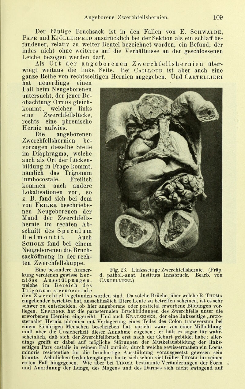 Der häutige Bruchsack ist in den Fällen von E. Schwalbe, Pape und Kjöllerfeld ausdrücklich bei der Sektion als ein schlaff be- fundener, relativ zu weiter Beutel bezeichnet worden, ein Befund, der indes nicht ohne weiteres auf die Verhältnisse an der geschlossenen Leiche bezogen werden darf. Als Ort der angeborenen Zwerchfellshernien über- wiegt weitaus die linke Seite. Bei Cailloud ist aber auch eine ganze Reihe von rechtsseitigen Hernien angegeben. Und Cartellieri hat neuerdings einen Fall beim Neugeborenen untersucht, der jener Be- obachtung Ottos gleich- kommt , welcher links eine Zwerchfellslücke, rechts eine phrenische Hernie aufwies. Die angeborenen Zwerchfellshernien be- vorzugen dieselbe Stelle im Diaphragma, welche auch als Ort der Lücken- bildung in Frage kommt, nämlich das Trigonum lumbocostale. Freilich kommen auch andere Lokalisationen vor, so z. B. fand sich bei dem von Feiler beschriebe- nen Neugeborenen der Mund der Zwerchfells- hernie im rechten Ab- schnitt des Speculum Heimo ntii. Auch Scholz fand bei einem Neugeborenen die Bruch- sacköffnung in der rech- ten Zwerchfellskuppe. Eine besondere Anmer- kung verdienen gewisse her- niöse Ausstülpungen, welche im Bereich des Trigonum sternocostale des Zwerchfells gefunden worden sind. Da solche Brüche, über welche R. Thoma eingehender berichtet hat, ausschließlich ältere Leute zu betreffen scheinen, ist es sehr schwer zu entscheiden, ob hier angeborene oder postfetal erworbene Bildungen vor- liegen. Eppinger hat die parasternalen Bruchbildungen des Zwerchfells unter die erworbenen Hernien eingereiht. Und auch Kratzeisen, der eine linksseitige „retro- sternale Hernia phrenica mit Verlagerung eines Teiles des Colon transversum bei einem 85jährigen Menschen beschrieben hat, spricht zwar von einer Mißbildung, muß aber die Unsicherheit dieser Annahme zugeben; er hält es sogar für wahr- scheinlich, daß sich der Zwerchfellbruch erst nach der Geburt gebildet habe; aller- dings greift er dabei auf mögliche Störungen der Muskelausbildung der links- seitigen Pars costalis in seinem Fall zurück, durch welche gewissermaßen ein Locus minoris resistentiae für die bruchartige Ausstülpung vorausgesetzt gewesen sein könnte. Aehnlichen Gedankengängen hatte sich schon viel früher Thoma für seinen ersten Fall hingegeben. Wie aber bei Thoma bestimmte Veränderungen der Form und Anordnung der Lunge, des Magens und des Darmes sich nicht zwingend auf Fig. 23. Linksseitige Zwerchfellshernie. (Präp. d. pathol.-anat. Instituts Innsbruck. Bearb. von Cartellieri.)