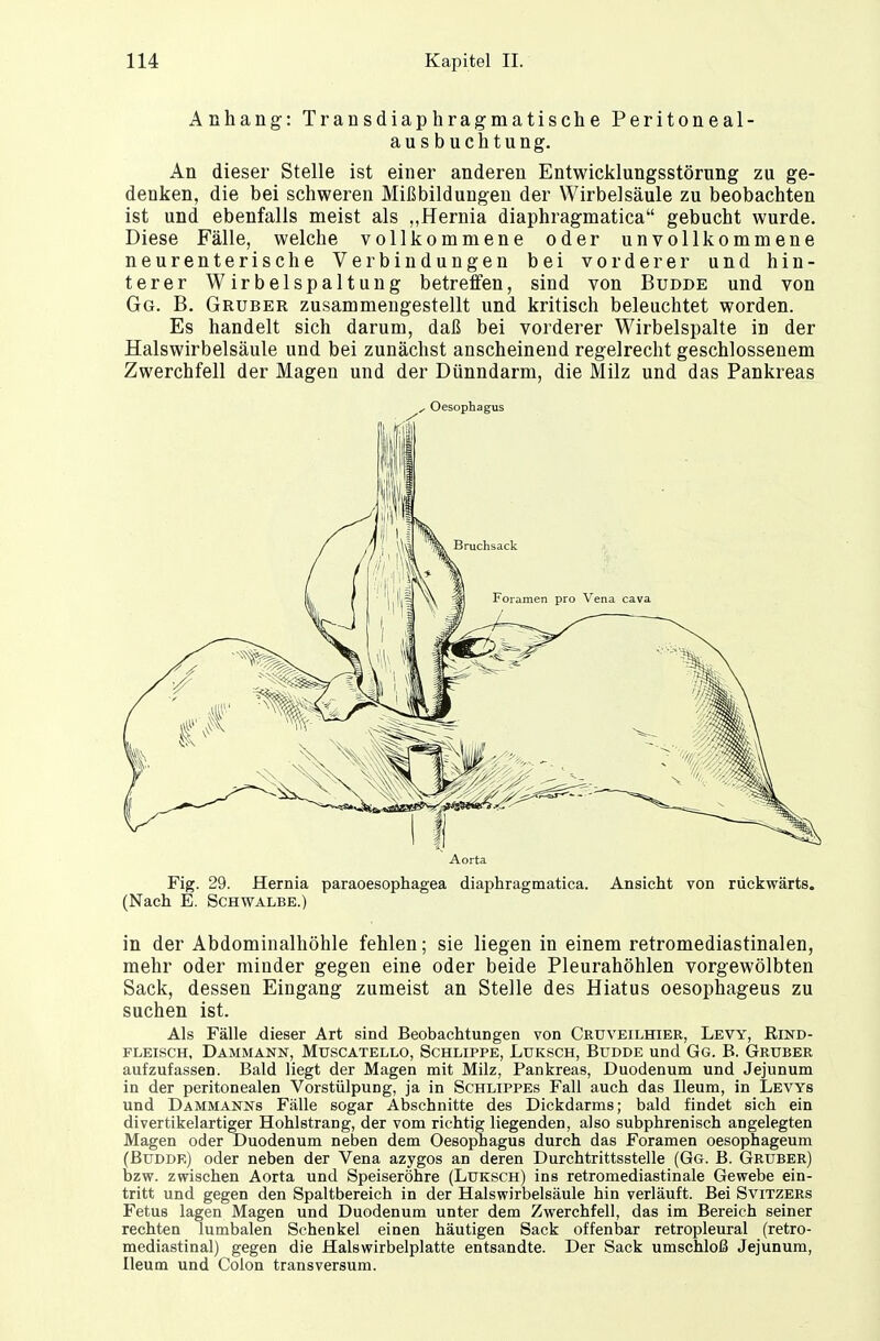 Anhang: Transdiaphragmatische Peritoneal- ausbuchtung. An dieser Stelle ist einer anderen Entwicklungsstörung zu ge- denken, die bei schweren Mißbildungen der Wirbelsäule zu beobachten ist und ebenfalls meist als „Hernia diaphragmatica gebucht wurde. Diese Fälle, welche vollkommene oder unvollkommene neurenterische Verbindungen bei vorderer und hin- terer Wirbelspaltung betreifen, sind von Budde und von Gg. B. Gruber zusammengestellt und kritisch beleuchtet worden. Es handelt sich darum, daß bei vorderer Wirbelspalte in der Halswirbelsäule und bei zunächst anscheinend regelrecht geschlossenem Zwerchfell der Magen und der Dünndarm, die Milz und das Pankreas , Oesophagus Aorta Fig. 29. Hernia paraoesophagea diaphragmatica. Ansicht von rückwärts. (Nach E. Schwalbe.) in der Abdominalhöhle fehlen; sie liegen in einem retromediastinalen, mehr oder minder gegen eine oder beide Pleurahöhlen vorgewölbten Sack, dessen Eingang zumeist an Stelle des Hiatus oesophageus zu suchen ist. Als Fälle dieser Art sind Beobachtungen von Ceüveilhier, Levy, Rind- fleisch, Dammann, Muscatello, Schlippe, Luksch, Budde und Gg. B. Gruber aufzufassen. Bald liegt der Magen mit Milz, Pankreas, Duodenum und Jejunum in der peritonealen Vorstülpung, ja in Schlippes Fall auch das lleum, in Lews und Dämmanns Fälle sogar Abschnitte des Dickdarms; bald findet sich ein divertikelartiger Hohlstrang, der vom richtig liegenden, also subphrenisch angelegten Magen oder Duodenum neben dem Oesophagus durch das Foramen oesophageum (Budde) oder neben der Vena azygos an deren Durchtrittsstelle (Gg. B. Gruber) bzw. zwischen Aorta und Speiseröhre (Luksch) ins retromediastinale Gewebe ein- tritt und gegen den Spaltbereich in der Halswirbelsäule hin verläuft. Bei Svitzers Fetus lagen Magen und Duodenum unter dem Zwerchfell, das im Bereich seiner rechten lumbalen Schenkel einen häutigen Sack offenbar retropleural (retro- mediastinal) gegen die Halswirbelplatte entsandte. Der Sack umschloß Jejunum, lleum und Colon transversum.