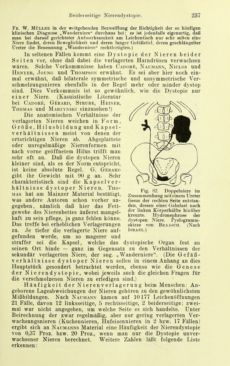 Fr. W. Müller in der weitgehenden Bezweiflung der Richtigkeit der so häufigen klinischen Diagnose „Wanderniere durchaus bei; es ist jedenfalls eigenartig, daß man bei darauf gerichteter Aufmerksamkeit am Leichentisch nur sehr selten eine Niere findet, deren Beweglichkeit und deren langer Gefäßstiel, deren geschlängelter Ureter die Benennung „Wanderniere rechtfertigten.) In seltenen Fällen kommt eine Dystopie der Nieren beider Seiten vor, ohne daß dabei die verlagerten Harndrüsen verwachsen wären. Solche Vorkommnisse haben Cadore, Naumann, Niclos und Henyer, Joung und Thompson erwähnt. Es sei aber hier noch ein- mal erwähnt, daß bilaterale symmetrische und unsymmetrische Ver- schmelzungsnieren ebenfalls in der Regel mehr oder minder dystop sind. Dies Vorkommnis ist so gewöhnlich, wie die Dystopie nur einer Niere. (Kasuistische Literatur bei Cadore, Gerard, Strube, Heiner, Thomas und Maezynski einzusehen!) Die anatomischen Verhältnisse der verlagerten Nieren weichen in Form, Größe, Hilusbildung und K apsel- verhältnissen meist von denen der ortsrichtigen Nieren ab. Abgeplattete oder unregelmäßige Nierenformen mit nach vorne geöffnetem Hilus trifft man sehr oft an. Daß die dystopen Nieren kleiner sind, als es der Norm eutspricht, ist keine absolute Regel. G. Gerard gibt ihr Gewicht mit 90 g an. Sehr charakteristisch sind die Kapselver- hältnisse dystoper Nieren. Tho- mas hat am Mainzer Material bestätigt, was andere Autoren schon vorher an- gegeben, nämlich daß hier das Fett- gewebe des Nierenbettes äußerst mangel- haft zu sein pflege, ja ganz fehlen könne. Das treffe bei erheblichen Verlagerungen zu. Je tiefer die verlagerte Niere auf- gefunden werde, um so magerer und straffer sei die Kapsel, welche das dystopische Organ fest an seinen Ort binde — ganz im Gegensatz zu den Verhältnissen der sekundär verlagerten Niere, der sog. „Wanderniere. (Die Gefäß- verhältnisse dystoper Nieren sollen in einem Anhang an dies Hauptstück gesondert betrachtet werden, ebenso wie die Genese der Nierendystopie, wobei jeweils auch die gleichen Fragen für die verschmolzenen Nieren zu erledigen sind.) Häufigkeit der Nierenverlagerung beim Menschen: An- geborene Lageabweichungen der Nieren gehören zu den gewöhnlichsten Mißbildungen. Nach Naumann kamen auf 10177 Leichenöffnungen 21 Fälle, davon 12 linksseitige, 5 rechtsseitige, 2 beiderseitige; zwei- mal war nicht angegeben, um welche Seite es sich handelte. Unter Beirechnung der zwar regelmäßig, aber nur gering verlagerten Ver- wachsungsnieren (Kuchennieren, Hufeisennieren in 2 bzw. 17 Fällen) ergibt sich an Naumanns Material eine Häufigkeit der Nierendystopie von 0,37 Proz. bzw. 20 Proz., wenn man nur die Dystopie unver- wachsener Nieren berechnet. Weitere Zahlen läßt folgende Liste erkennen: Fig. 82. Doppelniere im Zusammenhang mit einem Ureter fissus der rechten Seite entstan- den, dessen einer Gabelast nach der linken Körperhälfte hinüber kreuzte. Hydronephrose der dystopen Niere. Pyelogramm- skizze von Braasch. (Nach Israel.)