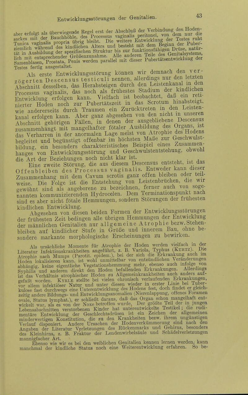 mmm Testes fertig ausgestaltet. 41s erste Entwicklungsstörung können wir demnach den yer- zöeerten Descensus testiculi nennen, allerdings nur den letzten Ibschnitt desselben, das Herabsteigen durch den Leistenkanal m den Pr^^cessus vaginalis das noch als frühestes Stadium der kindlichen Entwkklung erfolgen kann. Vielfach ist beobachtet, daß ein ret - Sr Hoden noch zur Pubertätszeit in das Scrotum hinabsteigt, wie andererseits durch Traumen ein Zurücktreten m den Leisten- kanal erfolgen kann. Aber ganz abgesehen von den nicht in unseren ISn tt gehörigen Fällen, in deSen der ausgebliebene Descensus zusammenhingt mit mangelhafter fötaler Ausbildung des Organs is das Verharren in der anormalen Lage meist von Atrophie des Hodens begleitet und begünstigt offenbar im höchsten Maße zur Geschwulst- bildun^^^^^ ein besonderl charakteristisches Beispiel emes Zusammen- hanges von Entwicklungsstörung und Geschwulstentstehung, obwohl die Art der Beziehungen noch nicht klar ist. • , Eine zweite Störung, die aus diesem Descensus entsteht, ist das Offenbleiben des Processus vaginalis. Entweder kann dieser Zusammenhang mit dem Cavum scrotis ganz offen bleiben oder teil- weise Die Folge ist die Entstehung von Leistenbrüchen, die wir gewöhnt sind als angeborene zu bezeichnen, ferner auch von soge- nannten kommunizierenden Hydrocelen. Dem Terminationspunkt nach sind es aber nicht fötale Hemmungen, sondern Störungen der frühesten kindlichen Entwicklung. -r^ . • n Abgesehen von diesen beiden Formen der Entwicklungsstorungen der frühesten Zeit bedingen alle übrigen Hemmungen der Entwicklung der männlichen Genitalien nur allgemeine Atrophie bezw.Stehen- bleiben auf kindlicher Stufe in Größe und innerem Bau, ohne be- sondere markante morphologische Erscheinungen zu bewirken. Als ursächUche Momente für Atrophie der Hoden werden vielfach in der Literatur Infektionskrankheiten angeführt, z. B Variola Typhus (.Kurtz). Di« Atrophie nach Mumps (Parotit. epidem.), bei der sich die Erkrankung auch im Hoden lokalisieren kann, ist wohl unmittelbar von entzündlichen Veränderungen abhäneig, keine eigentliche Vegetationshemmung mehr ebenso auch intolge von Syphilis und anderen direkt den Hoden befallenden Erkrankungen Allerdings ist das Verhältnis atrophischer Hoden zu Allgemeinkrankheiten auch anders aut- gefaßt worden. Kyrle stellte bei vielen chronisch verlaufenden Erkrankungen, vor allem infektiöser Natur und unter diesen wieder in erster Linie bei Tr^^^ kulose fast durchwegs eine Unterentwicklung des Hodens fest, doch findet er gleich- zeitig andere Büdungs- und Entmcklungsanomahen (Nierenlappung, offenes Foramen ovale, Status lymphat.), er schüeßt daraus, daß das Organ schon mangelhaft ent- wickelt war, als es von der Noxe betroffen wurde, Der größte Teil der in jungen Lebensabschnitten verstorbenen Kinder hat unterentwickelte Testikel; die rudi- mentäre Entwicklung der Geschlechtsdrüsen ist em Zeichen der allgemeinen minderwertigen Konstitution, die zu den Krankheiten bezw. ihrem ungunstigen Verlauf disponiert. Andere Ursachen der Hodenverkümmerung sind nach den Angaben der Literatur Verletzungen des Rückenmarks und Gehirns, besonders des Kleinhirns, z. B. Fraktur der Leadenwirbelsäule und Schädelverletzungen mannigfacher Art. ^ . ,. , , j i Ebenso wie wir es bei den weiblichen Genitahen kenneu lernen werden,' kann manchmal der kindliche Status noch eine Weiterentwicklung erfahren. So be-