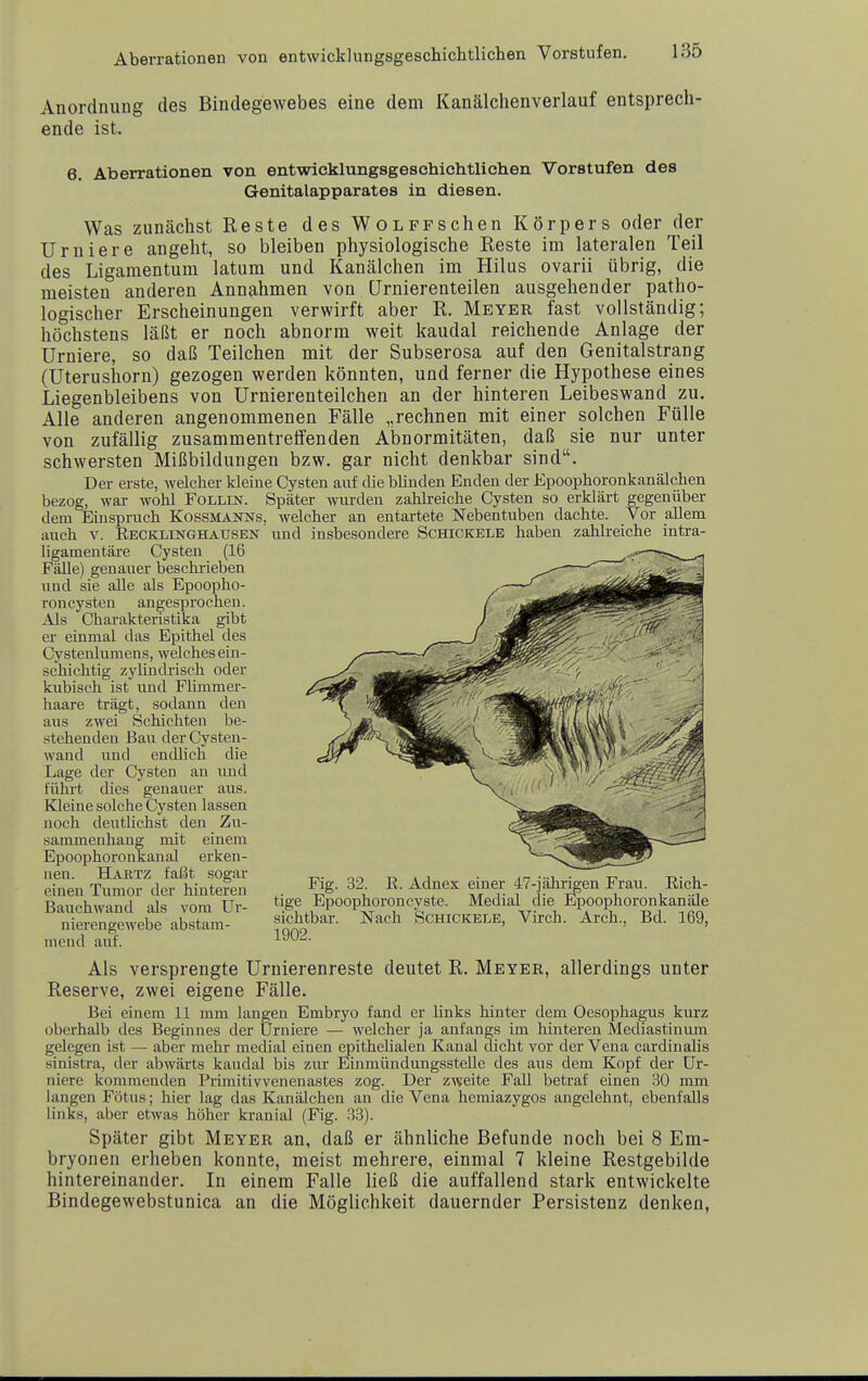 Anordnung des Bindegewebes eine dem Kanälchenverlauf entsprech- ende ist. 6. Aberrationen von entwicklungsgeschichtlichen Vorstufen des Genitalapparates in diesen. Was zunächst Reste des WoLFPSchen Körpers oder der Urniere angeht, so bleiben physiologische Reste im lateralen Teil des Ligamentum latum und Kanälchen im Hilus ovarii übrig, die meisten anderen Annahmen von [Jrnierenteilen ausgehender patho- logischer Erscheinungen verwirft aber R. Meyer fast vollständig; höchstens läßt er noch abnorm weit kaudal reichende Anlage der Urniere, so daß Teilchen mit der Subserosa auf den Genitalstrang (Uterushorn) gezogen werden könnten, und ferner die Hypothese eines Liegenbleibens von Urnierenteilchen an der hinteren Leibeswand zu. Alle anderen angenommenen Fälle „rechnen mit einer solchen Fülle von zufällig zusammentreifenden Abnormitäten, daß sie nur unter schwersten Mißbildungen bzw. gar nicht denkbar sind. Der erste, welcher kleine Cysten auf die bUnden Enden der Epoophoronkanälchen bezog, war wohl Follin. Später wurden zahlreiche Cysten so erklärt gegenüber dem Einspruch KossmäNNs, welcher an entartete Nebentuben dachte. Vor aUem auch v. Recklinghausen und insbesondere Schickele haben zahlreiche intra- ligamentäre Cysten (16 FäUe) genauer beschrieben und sie alle als Epoopho- roncysten angesprochen. Als Charakteristika gibt er einmal das Epithel des Cystenlumens, welches ein- schichtig zylindrisch oder kubisch ist und Fhmmer- haare trägt, sodann den aus zwei Schichten be- stehenden Bau derCysten- wand und endlieh die Lage der Cysten an und führt dies genauer aus. Kleine solche Cysten lassen noch deutlichst den Zu- sammenhang mit einem Epoophoronkanal erken- nen. Hartz faßt sogar einen Tumor der hinteren Bauchwand als vom Ur- nierengewebe abstam- mend auf. Als versprengte Urnierenreste deutet R. Meyer, allerdings unter Reserve, zwei eigene Fälle. Bei einem 11 mm langen Embryo fand er links hinter dem Oesophagus kurz oberhalb des Beginnes der Urniere — welcher ja anfangs im hinteren Mediastinum gelegen ist — aber mehr medial einen epithelialen Kanal dicht vor der Vena cardinalis sinistra, der abwärts kaudal bis zur Einmündungssteile des aus dem Kopf der Ur- niere kommenden Primitivvenenastes zog. Der zweite Fall betraf einen 30 mm langen Fötus; hier lag das Kanälchen an die Vena hemiazygos angelehnt, ebenfalls links, aber etwas höher kranial (Fig. ;33). Später gibt Meyer an, daß er ähnliche Befunde noch bei 8 Em- bryonen erheben konnte, meist mehrere, einmal 7 kleine Restgebilde hintereinander. In einem Falle ließ die auffallend stark entwickelte Bindegewebstunica an die Möglichkeit dauernder Persistenz denken, Fig. 32. E. Adnex einer 47-jährigen Frau. Rich- tige Epoophoron Cyste. Medial die Epoophoronkanäle sichtbar. Nach Schickele, Virch. Arch., Bd. 169,