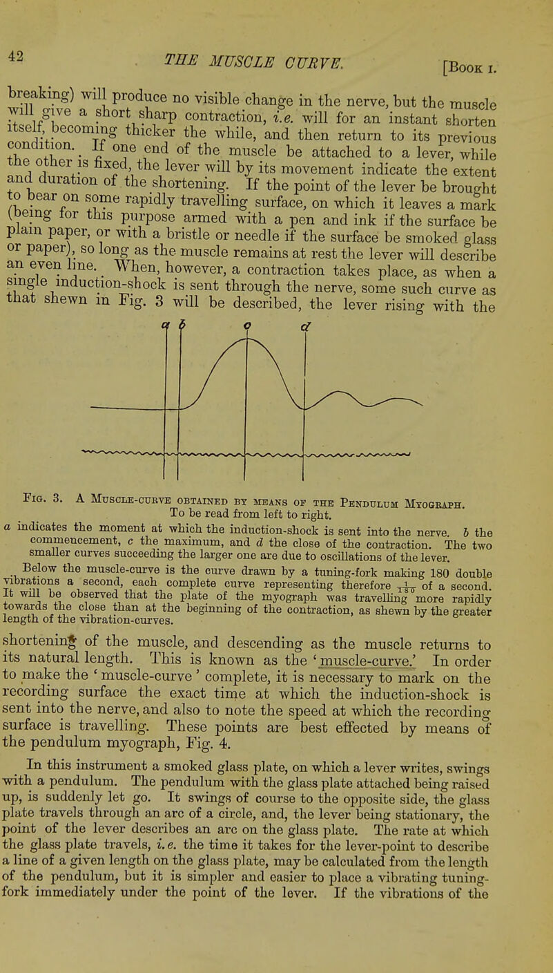 [Book i. breaking) will produce no visible change in the nerve, but the muscle will give a short sharp contraction, i.e. will for an instant shorten itself becoming thicker the while, and then return to its previous condition. ^ If one end of the muscle be attached to a lever, while the other is fixed the lever will by its movement indicate the extent and duration of the shortening. If the point of the lever be brought to bear on some rapidly travelling surface, on which it leaves a mark [Demg tor this purpose armed with a pen and ink if the surface be plain paper, or with a bristle or needle if the surface be smoked glass or paper], so long as the muscle remains at rest the lever will describe an even lme. _ When, however, a contraction takes place, as when a single induction-shock is sent through the nerve, some such curve as that shewn in Fig. 3 will be described, the lever rising with the Fig. 3. A Muscle-cubve obtained by means of the Pendulum Mtogbaph. To be read from left to right. a indicates the moment at which the induction-shock is sent into the nerve b the commencement, c the maximum, and d the close of the contraction. The two smaller curves succeeding the larger one are due to oscillations of the lever. Below the muscle-curve is the curve drawn by a tuning-fork making 180 double vibrations a second, each complete curve representing therefore ^ of a second. It will be observed that the plate of the myograph was travelling more rapidly towards the close than at the beginning of the contraction, as shewn by the greater length of the vibration-curves. shortening of the muscle, and descending as the muscle returns to its natural length. This is known as the 'muscle-curve.' In order to make the * muscle-curve' complete, it is necessary to mark on the recording surface the exact time at which the induction-shock is sent into the nerve, and also to note the speed at which the recording surface is travelling. These points are best effected by means of the pendulum myograph, Fig. 4. In this instrument a smoked glass plate, on -which a lever writes, swings with a pendulum. The pendulum with the glass plate attached being raised up, is suddenly let go. It swings of course to the opposite side, the glass plate travels through an arc of a circle, and, the lever being stationaiy, the point of the lever describes an arc on the glass plate. The rate at which the glass plate travels, i. e. the time it takes for the lever-point to describe a line of a given length on the glass plate, may be calculated from the length of the pendulum, but it is simpler and easier to place a vibrating tuning- fork immediately under the point of the lever. If the vibrations of the
