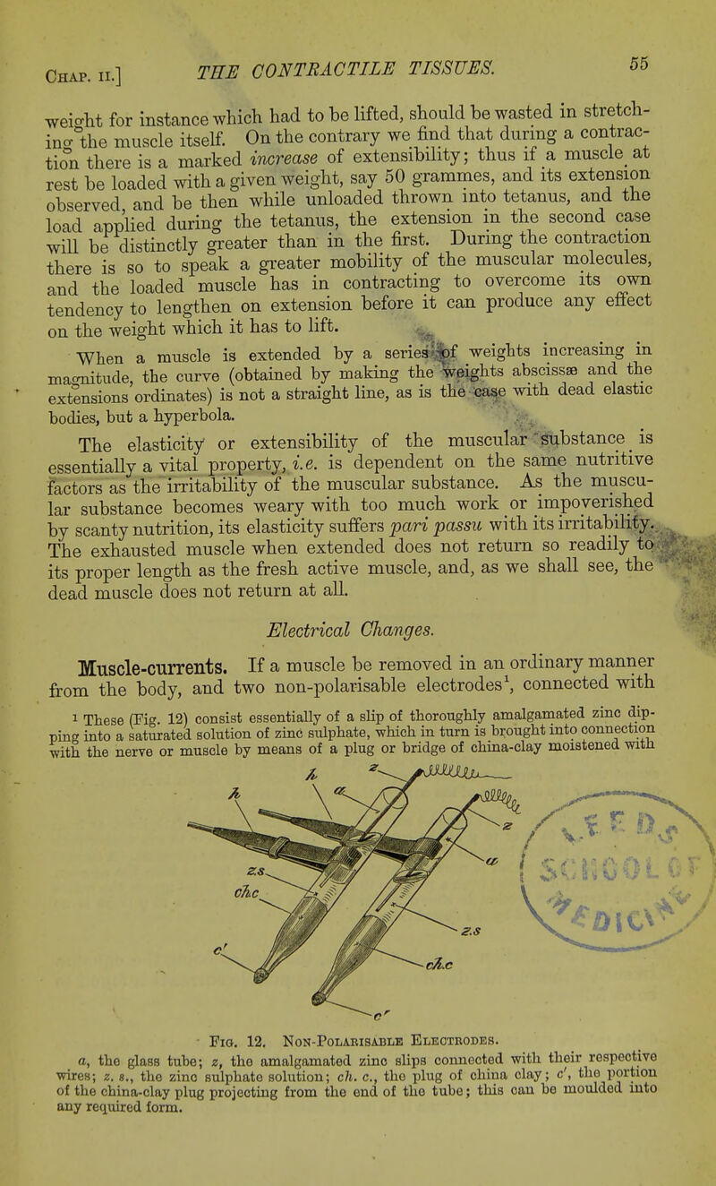 weight for instance which had to be lifted, should be wasted m stretch- ing the muscle itself. On the contrary we find that during a contrac- tion there is a marked increase of extensibility; thus if a muscle_ at rest be loaded with a given weight, say 50 grammes, and its extension observed and be then while unloaded thrown into tetanus, and the load applied during the tetanus, the extension m the second case will be distinctly greater than in the first. During the contraction there is so to speak a greater mobility of the muscular molecules, and the loaded muscle has in contracting to overcome its own tendency to lengthen on extension before it can produce any effect on the weight which it has to lift. When a muscle is extended by a series %f weights increasing in magnitude, the curve (obtained by making the weights abscissas and the extensions ordinates) is not a straight line, as is the case with dead elastic bodies, but a hyperbola. The elasticity or extensibility of the muscular substance _ is essentially a vital property, i.e. is dependent on the same nutritive factors as the irritability of the muscular substance. As the muscu- lar substance becomes weary with too much work or impoverished by scanty nutrition, its elasticity suffers pari passu with its irritability. The exhausted muscle when extended does not return so readily to its proper length as the fresh active muscle, and, as we shall see, the dead muscle does not return at all. Electrical Changes. Muscle-currents. If a muscle be removed in an ordinary manner from the body, and two non-polarisable electrodes1, connected with 1 These (Fig 12) consist essentially of a slip of thoroughly amalgamated zinc dip- ping into a saturated solution of zinc sulphate, which in turn is brought into connection with the nerve or muscle by means of a plug or bridge of china-clay moistened with SCHOOL < • Fig. 12. Non-Poiarisable Electrodes. a, the glass tube; z, the amalgamated zinc slips connected with their respective wires; z. s., the zinc sulphate solution; ch. c, the plug of china clay; c', the portion of the china-clay plug projecting from the end of the tube; this can be moulded into any required form.