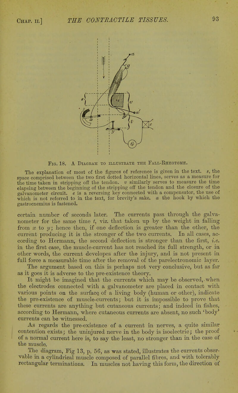Fig. 18. A Diageah to illusteate the Fall-Bheotome. The explanation of most of the figures of reference is given in the text, s, the space comprised between the two first dotted horizontal lines, serves as a measure for the time taken in stripping off the tendon, v similarly serves to measure the time elapsing between the beginning of the stripping off the tendon and the closure of the galvanometer circuit, e is a reversing key connected with a compensator, the use of which is not referred to in the text, for brevity's sake, a the hook by which the gastrocnemius is fastened. certain number of seconds later. The currents pass through the galva- nometer for the same time t, viz. that taken up by the weight in falling from cc to y; hence then, if one deflection is greater than the other, the current producing it is the stronger of the two currents. In all cases, ac- cording to Hermann, the second deflection is stronger than the first, i.e. in the first case, the muscle-current has not reached its full strength, or in other words, the current developes after the injury, and is not present in full force a measurable time after the removal of the parelectronomic layer. The argument based on this is perhaps not very conclusive, but as far as it goes it is adverse to the pre-existence theory. It might be imagined that the currents which may be observed, when the electrodes connected with a galvanometer are placed in contact with various points on the surface of a living body (human or other), indicate the pre-existence of muscle-currents; but it is impossible to prove that these currents are anything but cutaneous currents; and indeed in fishes, according to Hermann, where cutaneous currents are absent, no such 'body' currents can be witnessed. As regards the pre-existence of a current in nerves, a quite similar contention exists; the uninjured nerve in the body is isoelectric; the proof of a normal current here is, to say the least, no stronger than in the case of the muscle. The diagram, Fig 13, p. 56, as was stated, illustrates the currents obser- vable in a cylindrical muscle composed of parallel fibres, and with tolerably rectangular terminations. In muscles not having this form, the direction of