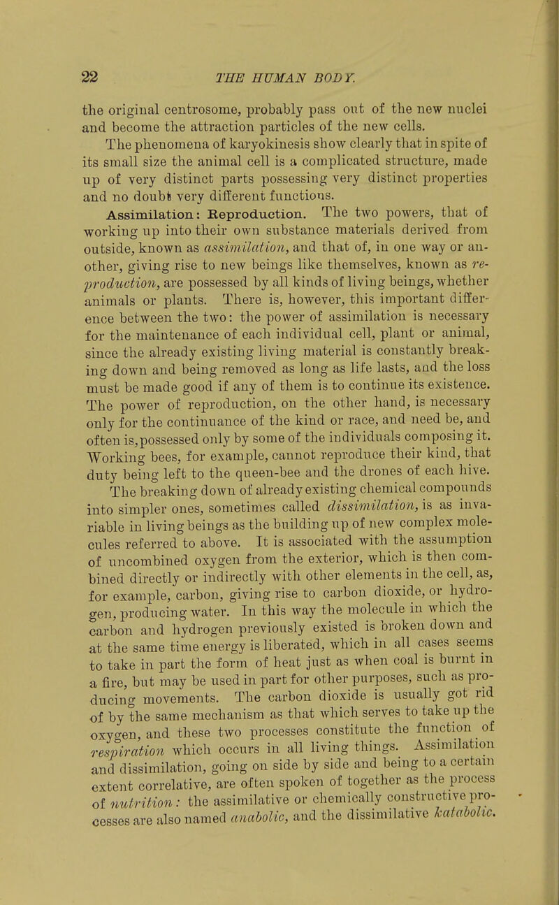 the original centrosome, probably pass out of the new nuclei and become the attraction particles of the new cells. The phenomena of karyokinesis show clearly that in spite of its small size the animal cell is a complicated structure, made up of very distinct parts possessing very distinct properties and no doubfc very diiierent functions. Assimilation: Reproduction. The two powers, that of working up into their own substance materials derived from outside, known as assimilation, and that of, in one way or an- other, giving rise to new beings like themselves, known as re- jjrodiiction, are possessed by all kinds of living beings, whether animals or plants. There is, however, this important differ- ence between the two: the power of assimilation is necessary for the maintenance of each individual cell, plant or animal, since the already existing living material is constantly break- ing down and being removed as long as life lasts, and the loss must be made good if any of them is to continue its existence. The power of reproduction, on the other hand, is necessary only for the continuance of the kind or race, and need be, and often is,possessed only by some of the individuals composing it. Working bees, for example, cannot reproduce their kind, that duty bei]ig left to the queen-bee and the drones of each hive. The breaking down of already existing chemical compounds into simpler ones, sometimes called dissimilation, is as inva- riable in living beings as the building up of new complex mole- cules referred to above. It is associated with the assumption of uncombined oxygen from the exterior, which is then com- bined directly or indirectly with other elements in the cell, as, for example, carbon, giving rise to carbon dioxide, or hydro- gen, producing water. In this way the molecule in which the carbon and hydrogen previously existed is broken down and at the same time energy is liberated, which in all cases seems to take in part the form of heat just as when coal is burnt in a fire, but may be used in part for other purposes, such as pro- ducing movements. The carbon dioxide is usually got rid of by the same mechanism as that which serves to take up the oxygen, and these two processes constitute the function _ of respiration which occurs in all living things. Assimilation and dissimilation, going on side by side and being to a certain extent correlative, are often spoken of together as the process of nutrition: the assimilative or chemically constructive pro- cesses are also named anabolic, and the dissimilative kataMic.