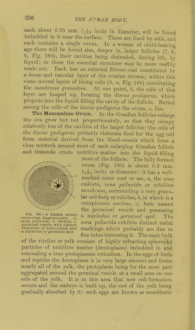 -656 ■each about 0.25 mm. (^J-^ incli) in diameter, will be found .imbedded in it near the surface. These are lined by cells, and «ach contains a single ovum. In a woman of child-bearing age there will be found also, deeper in, larger follicles (7, 8, 9, Fig. 189), their cavities being distended, during life,'by liquid; in these the essential structure may be more readily made out. Each has an external fibrous coat constituted by a dense and vascular layer of the ovarian stroma; within this •come several layers of lining cells (9, a, Fig. 189) constituting the memhrana granulosa. At one point, J, the cells of this layer are heaped up, forming the discus proligerus, which l)rojects into the liquid filling the cavity of the follicle. Buried •among the cells of the discus proligerus the ovum, c, lies. The Mammalian Ovum. As the Graafian follicles enlarge the ova grow but not proportionately, so that they occupy relatively less of the cavities of the larger follicles: the cells of the discus proligerus probably elaborate food for the egg cell from material derived from the blood-vessels which form a close network around most of each enlarging Graafian follicle .and transude crude nutritive matter into the liquid filling most of the follicle. The fully formed ovum (Fig. 190) is about 0.2 mm. (y^ 0- inch) in diameter: it has a well- marked outer coat or sac, a, the zona radiata, zona pellucida or vitelline membrane, surrounding a very granu- lar cell-body or vitellus, b, in which is a conspicuous nucleus, c, here named the germinal vesicle and possessing ..ome^ha^dia^mr.mtir: ^ uucleolus ov germinal spot. The re^mi'^l^iTe^^fe^irh d!st1;.et ^^^^ pellucida exhibits distinct radial TJucll7ns%,^le^^^^^ markings which probably are due to fine tubes traversing it. The main bulk ^of the vitellus or yelk consists of highly refracting spheroidal particles of nutritive matter (deutoplasm) imbedded in and •concealing a true protoplasmic reticulum. In the eggs of birds .and reptiles the deutoplasm is in very large amount and forms •.nearly all of the yelk, the protoplasm being for the most part ••aggregated around the germinal vesicle at a small area on one .side of the yelk. It is in this area that new cell-formation •occurs and the embryo is built up, the rest of the yelk being gradually absorbed by it: such eggs are known as mesoblasiic