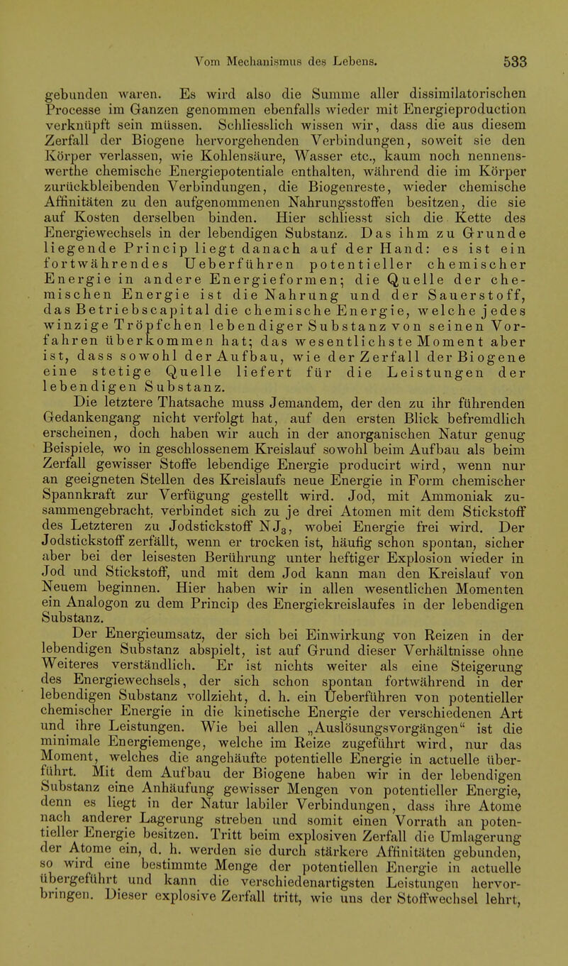 gebunden waren. Es wird also die Summe aller dissimilatorischen Processe im Ganzen genommen ebenfalls wieder mit Energieproduction verknüpft sein müssen. Schliesslich wissen wir, dass die aus diesem Zerfall der Biogene hervorgehenden Verbindungen, soweit sie den Körper verlassen, wie Kohlensäure, Wasser etc., kaum noch nennens- werthe chemische Energiepotentiale enthalten, während die im Körper zurückbleibenden Verbindungen, die Biogenreste, wieder chemische Affinitäten zu den aufgenommenen Nahrungsstoffen besitzen, die sie auf Kosten derselben binden. Hier schliesst sich die Kette des Energiewechsels in der lebendigen Substanz, Das ihm zu Grunde liegende Princip liegt danach auf der Hand: es ist ein fortwährendes üeber führen potentieller chemischer Energie in andere Energieformen-, die Quelle der che- mischen Energie ist die Nahrung und der Sauerstoff, das Betriebscapital die chemische Energie, welche jedes winzige Tröpfchen lebendiger Substanzvon seinen Vor- fahren überkommen hat; das wesentlichste Moment aber ist, dass sowohl derAufbau, wie derZerfall derBiogene eine stetige Quelle liefert für die Leistungen der lebendigen Substanz. Die letztere Thatsache muss Jemandem, der den zu ihr führenden Gedankengang nicht verfolgt hat, auf den ersten Blick befremdlich erscheinen, doch haben wir auch in der anorganischen Natur genug Beispiele, wo in geschlossenem Kreislauf sowohl beim Aufbau als beim Zerfall gewisser Stoffe lebendige Energie producirt wird, wenn nur an geeigneten Stellen des Kreislaufs neue Energie in Form chemischer Spannkraft zur Verfügung gestellt wird. Jod, mit Ammoniak zu- sammengebracht, verbindet sich zu je drei Atomen mit dem Stickstoff des Letzteren zu Jodstickstoff NJg, wobei Energie frei wird. Der Jodstickstoff zerfällt, wenn er trocken ist, häufig schon spontan, sicher aber bei der leisesten Berührung unter heftiger Explosion wieder in Jod und Stickstoff, und mit dem Jod kann man den Kreislauf von Neuem beginnen. Hier haben wir in allen wesentlichen Momenten ein Analogon zu dem Princip des Energiekreislaufes in der lebendigen Substanz. Der Energieumsatz, der sich bei Einwirkung von Reizen in der lebendigen Substanz abspielt, ist auf Grund dieser Verhältnisse ohne Weiteres verständlich. Er ist nichts weiter als eine Steigerung des Energiewechsels, der sich schon spontan fortwährend in der lebendigen Substanz vollzieht, d. h. ein Ueberführen von potentieller chemischer Energie in die kinetische Energie der verschiedenen Art und_ ihre Leistungen. Wie bei allen „AuslösungsVorgängen ist die minimale Energiemenge, welche im Reize zugeführt wird, nur das Moment, welches die angehäufte potentielle Energie in actuelle über- führt. Mit^ dem Aufbau der Biogene haben wir in der lebendigen Substanz eine Anhäufung gewisser Mengen von potentieller Energie, denn es liegt in der Natur labiler Verbindungen, dass ihre Atome nach anderer Lagerung streben und somit einen Vorrath an poten- tieller Energie besitzen. Tritt beim explosiven Zerfall die Umlagerung der Atome ein, d, h. werden sie durch stärkere Affinitäten gebunden, so wird eine bestimmte Menge der potentiellen Energie in actuelle übergeführt und kann die verschiedenartigsten Leistungen hervor- bringen. Dieser explosive Zerfall tritt, wie uns der Stoffwechsel lehrt.