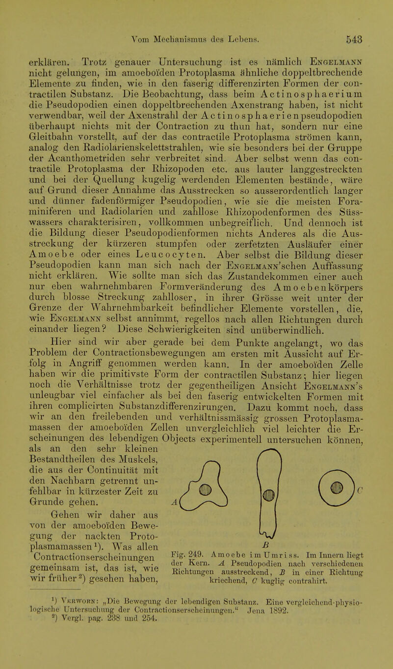 erklären. Trotz genauer Untersuchung ist es nämlich Engelmann nicht gelungen, im amoeboiden Protoplasma ähnliche doppeltbrechende Elemente zu hnden, wie in den faserig differenzirten Formen der con- tractilen Substanz. Die Beobachtung, dass beim Actinosphaerium die Pseudopodien einen doppeltbrechenden Axenstrang haben, ist nicht verwendbar, weil der Axenstrahl der ActinosphaerienPseudopodien überhaupt nichts mit der Contraction zu thun hat, sondern nur eine Gleitbahn vorstellt, auf der das contractile Protoplasma strömen kann, analog den Radiolarienskelettstrahlen, wie sie besonders bei der Gruppe der Acanthometriden sehr verbreitet sind. Aber selbst wenn das con- tractile Protoplasma der Rhizopoden etc. aus lauter langgestreckten und bei der Quellung kugelig werdenden Elementen bestände, wäre auf Grund dieser Annahme das Ausstrecken so ausserordentlich langer und dünner fadenförmiger Pseudopodien, wie sie die meisten Fora- miniferen und Radiolarien und zahllose Rhizopodenformen des Süss- wassers charakterisiren, vollkommen unbegreiflich. Und dennoch ist die Bildung dieser Pseudopodienformen nichts Anderes als die Aus- streckung der kürzeren stumpfen oder zerfetzten Ausläufer einer Amoebe oder eines Leucocyten. Aber selbst die Bildung dieser Pseudopodien kann man sich nach der ENGELMANN'schen Auffassung nicht erklären. Wie sollte man sich das Zustandekommen einer auch nur eben wahrnehmbaren Formveränderung des A m o e b e n körpers durch blosse Streckung zahlloser, in ihrer Grösse weit unter der Grenze der Wahrnehmbarkeit befindlicher Elemente vorstellen, die, wie Engelmann selbst annimmt, regellos nach allen Richtungen durch einander liegen? Diese Schwierigkeiten sind unüberwindlich. Hier sind wir aber gerade bei dem Punkte angelangt, wo das Problem der Contractionsbewegungen am ersten mit Aussicht auf Er- folg in Angriff genommen werden kann. In der amoeboiden Zelle haben wir die primitivste Form der contractilen Substanz; hier liegen noch die Verhältnisse trotz der gegentheiligen Ansicht Engelmann's unleugbar viel einfacher als bei den faserig entwickelten Formen mit ihren complicirten SubstanzdifFerenzirungen. Dazu kommt noch, dass wir an den freilebenden und verhältnissmässig grossen Protoplasma- massen der amoeboiden Zellen unvergleichlich viel leichter die Er- scheinungen des lebendigen Objects experimentell untersuchen können, als an den sehr kleinen Bestandtheilen des Muskels, die aus der Continuität mit den Nachbarn getrennt un- fehlbar in kürzester Zeit zu Grunde gehen. Gehen wir daher aus von der amoeboiden Bewe- gung der nackten Proto- plasmamassen Was allen Contractionserscheinungen A m o e b e i m U m r i s s. Im Innern liegt n.^iTv.fl,;«o„^ 1 • i. • ßi ^ern- A Pseudopodien nach verschiedenen gemeinsam ist, das ist, wie Richtungen ausstreckend, £ in einer Richtung Wir truher gesehen haben, kriechend, c kuglig contrahirt. 1) Vkrworn: „Die Bewegung der lebendigen Substanz. Eine vergleichend-pliysio- logische Untersucluing der Contractionserscheinungen. Jena 1892. 2) Vcrgl. pag. 288 und 254.
