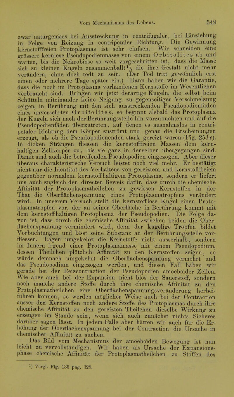zwar naturgemäss bei Ausstreckung in centrifugaler, bei Einziehung in Folge von Reizung in centripetaler Richtung. Die Gewinnung kernstofFfreien Protoplasmas ist sehr einfach. Wir schneiden eine grössere kernlose Pseudopodienmasse von einem Orbitolites ab und warten, bis die Nekrobiose so weit vorgeschritten ist, dass die Masse sich zu kleinen Kugeln zusammenballt^), die ihre Gestalt nicht mehr verändern, ohne doch todt zu sein, (Der Tod tritt gewöhnlich erst einen oder mehrere Tage später ein.) Dann haben wir die Garantie, dass die noch im Protoplasma vorhandenen Kernstoffe im Wesentlichen verbraucht sind. Bringen wir jetzt derartige Kugeln, die selbst beim Schütteln miteinander keine Neigung zu gegenseitiger Verschmelzung zeigen, in Berührung mit den sich ausstreckenden Pseudopodienfäden eines unversehrten Orbitolites, so beginnt alsbald das Protoplasma der Kugeln sich nach der Berührungsstelle hin vorzubuchten und auf die Pseudopodienfäden überzutreten, auf denen es ausnahmslos in centri- petaler Richtung dem Körper zuströmt und genau die Erscheinungen erzeugt, als ob die Pseudopodienenden stark gereizt wären (Fig. 253 c). In dicken Strängen fliessen die kernstofFfreien Massen dem kern- haltigen Zellkörper zu, bis sie ganz in denselben übergegangen sind. Damit sind auch die betreffenden Pseudopodien eingezogen. Aber dieser überaus charakteristische Versuch leistet noch viel mehr. Er bestätigt nicht nur die Identität des Verhaltens von gereiztem und kernstofffi'eiem gegenüber normalem, kernstoff haltigem Protoplasma, sondern er liefert uns auch zugleich den directen Beweis dafür, dass durch die chemische Affinität der Protoplasmatheilchen zu gewissen Kernstoffen in der That die Oberflächenspannung eines Protoplasmatropfens verändert wird. In unserem Versuch stellt die kernstofflose Kugel einen Proto- plasmatropfen vor, der an seiner Oberfläche in Berührung kommt mit dem kernstoff haltigen Protoplasma der Pseudopodien. Die Folge da- von ist, dass durch die chemische Affinität zwischen beiden die Ober- flächenspannung vermindert wird, denn der kugelige Tropfen bildet Vorbuchtungen und lässt seine Substanz an der Berührungsstelle vor- fliessen. Lägen umgekehrt die Kernstoffe nicht ausserhalb, sondern im Innern irgend einer Protoplasmamasse mit einem Pseudopodium, dessen Theilchen plötzlich Affinität zu den Kernstoffen zeigen, so würde demnach umgekehrt die Oberflächenspannung vermehrt und das Pseudopodium eingezogen werden, und diesen Fall haben wir gerade bei der Reizcontraction der Pseudopodien amoeboider Zellen. Wie aber auch bei der Expansion nicht blos der Sauerstoff, sondern noch manche andere Stoffe durch ihre chemische Affinität zu den Protoplasmatheilchen eine Oberflächenspannungsveränderung herbei- führen können, so werden möglicher Weise auch bei der Contraction ausser den Kernstoffen noch andere Stoffe des Protoplasmas durch ihre chemische Affinität zu den gereizten Theilchen dieselbe Wirkung zu erzeugen im Stande sein, wenn sich auch zunächst nichts Sicheres darüber sagen lässt. In jedem Falle aber hätten wir auch für die Er- höhung der Oberflächenspannung bei der Contraction die Ursache in chemischer Affinität zu suchen. Das Bild vom Mechanismus der amoeboi'den Bewegung ist nun leicht zu vervollständigen. Wir haben als Ursache der Expansions- phase chemische Affinität der Protoplasmatheilchen zu Stoffen des Vergl. Fig. 135 pag. 328.
