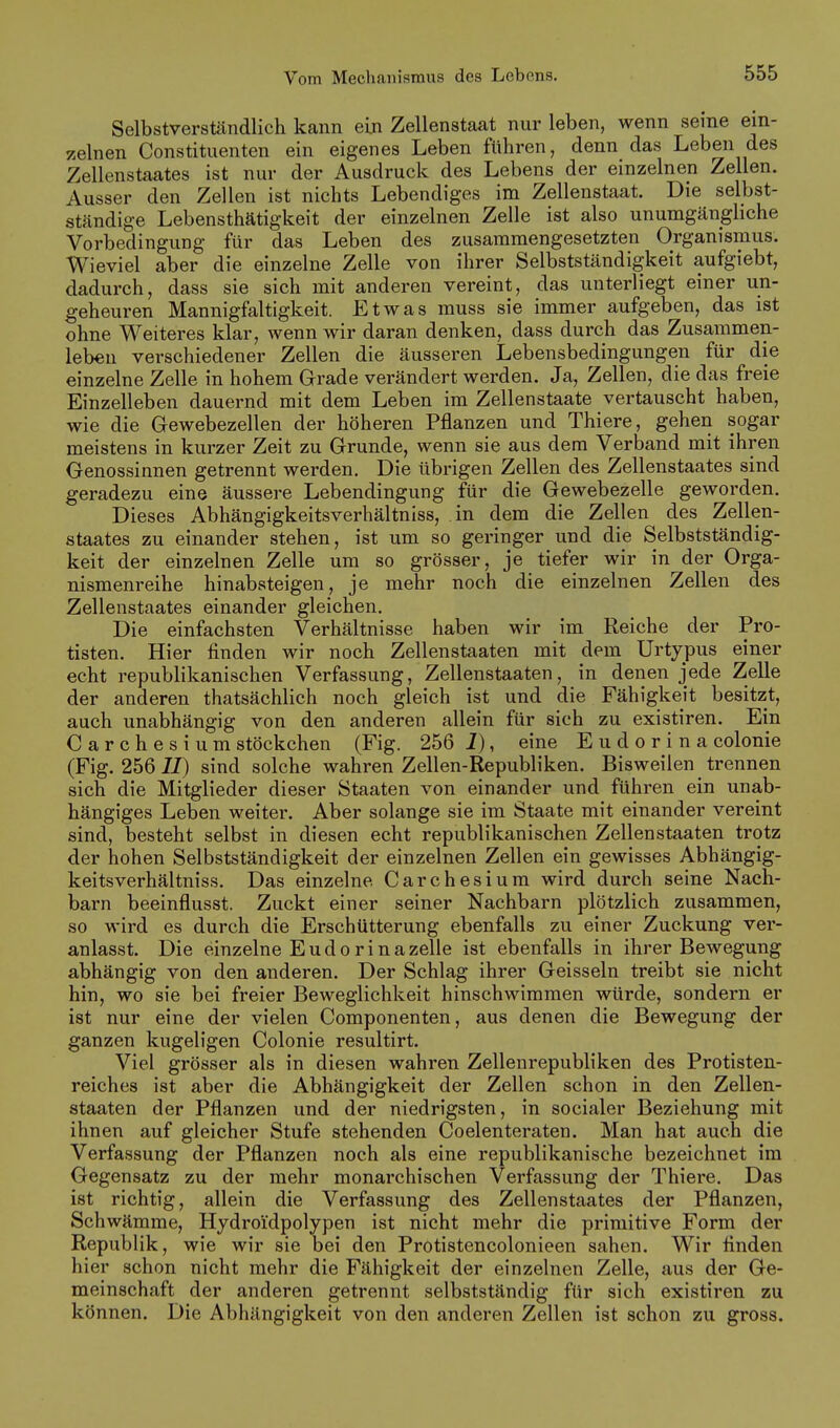 Selbstverständlich kann ein Zellenstaat nur leben, wenn seine ein- zelnen Constituenten ein eigenes Leben führen, denn das Leben des Zellenstaates ist nur der Ausdruck des Lebens der einzelnen Zellen. Ausser den Zellen ist nichts Lebendiges im Zellenstaat. Die selbst- ständige Lebensthätigkeit der einzelnen Zelle ist also unumgängliche Vorbedingung für das Leben des zusammengesetzten Organismus. Wieviel aber die einzelne Zelle von ihrer Selbstständigkeit aufgiebt, dadurch, dass sie sich mit anderen vereint, das unterliegt einer un- geheuren Mannigfaltigkeit. Etwas muss sie immer aufgeben, das ist ohne Weiteres klar, wenn wir daran denken, dass durch das Zusammen- leben verschiedener Zellen die äusseren Lebensbedingungen für die einzelne Zelle in hohem Grade verändert werden. Ja, Zellen, die das freie Einzelleben dauernd mit dem Leben im Zellenstaate vertauscht haben, wie die Gewebezellen der höheren Pflanzen und Thiere, gehen sogar meistens in kurzer Zeit zu Grunde, wenn sie aus dem Verband mit ihren Genossinnen getrennt werden. Die übrigen Zellen des Zellenstaates sind geradezu eine äussere Lebendingung für die Gewebezelle geworden. Dieses Abhängigkeitsverhältniss, in dem die Zellen des Zellen- staates zu einander stehen, ist um so geringer und die Selbstständig- keit der einzelnen Zelle um so grösser, je tiefer wir in der Orga- nismenreihe hinabsteigen, je mehr noch die einzelnen Zellen des Zellenstaates einander gleichen. Die einfachsten Verhältnisse haben wir im Reiche der Pro- tisten. Hier finden wir noch Zellenstaaten mit dem Urtypus einer echt republikanischen Verfassung, Zellenstaaten, in denen jede Zelle der anderen thatsächlich noch gleich ist und die Fähigkeit besitzt, auch unabhängig von den anderen allein für sich zu existiren. Ein Carchesium stöckchen (Fig. 256 1), eine E u d o r i n a colonie (Fig. 256 IZ) sind solche wahren Zellen-Republiken. Bisweilen trennen sich die Mitglieder dieser Staaten von einander und führen ein unab- hängiges Leben weiter. Aber solange sie im Staate mit einander vereint sind, besteht selbst in diesen echt republikanischen Zellenstaaten trotz der hohen Selbstständigkeit der einzelnen Zellen ein gewisses Abhängig- keitsverhältniss. Das einzelne Carchesium wird durch seine Nach- barn beeinflusst. Zuckt einer seiner Nachbarn plötzlich zusammen, so wird es durch die Erschütterung ebenfalls zu einer Zuckung ver- anlasst. Die einzelne E u d 0 r i n a zelle ist ebenfalls in ihrer Bewegung abhängig von den anderen. Der Schlag ihrer Geissein treibt sie nicht hin, wo sie bei freier Beweglichkeit hinschwimmen würde, sondern er ist nur eine der vielen Componenten, aus denen die Bewegung der ganzen kugeligen Colonie resultirt. Viel grösser als in diesen wahren Zellenrepubliken des Protisten- reiches ist aber die Abhängigkeit der Zellen schon in den Zellen- staaten der Pflanzen und der niedrigsten, in socialer Beziehung mit ihnen auf gleicher Stufe stehenden Coelenteraten. Man hat auch die Verfassung der Pflanzen noch als eine republikanische bezeichnet im Gegensatz zu der mehr monarchischen Verfassung der Thiere. Das ist richtig, allein die Verfassung des Zellenstaates der Pflanzen, Schwämme, Hydroi'dpolypen ist nicht mehr die primitive Form der Republik, wie wir sie bei den Protistencolonieen sahen. Wir finden hier schon nicht mehr die Fähigkeit der einzelnen Zelle, aus der Ge- meinschaft der anderen getrennt selbstständig für sich existiren zu können. Die Abhängigkeit von den anderen Zellen ist schon zu gross.
