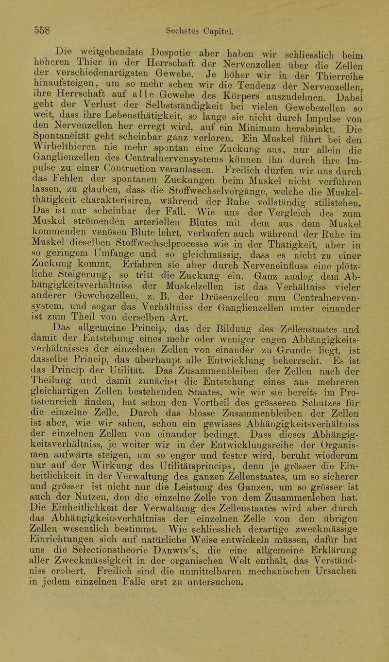 Die weitgehendste Despotie aber haben wir schliesslich beim höhereu Ihier in der Herrschaft der Nervenzellen über die Zellen der verschiedenartigsten Gewebe. Je höher wir in der Thierreihe hinaufsteigen, um so mehr sehen wir die Tendenz der Nervenzellen ihre Herrschaft auf alle Gewebe des Körpers auszudehnen. Dabei geht der Verlust der Selbstständigkeit bei vielen Gewebezellen so weit, dass ihre Lebensthätigkeit, so lange sie nicht durch Impulse von den Nervenzellen her erregt wird, auf ein Minimum herabsinkt Die Spontaneität geht scheinbar ganz verloren. Ein Muskel führt bei den Wirbelthieren nie mehr spontan eine Zuckung aus, nur allein die Ganghenzellen des Centrainervensystems können ihn durch ihre Im- pulse zu einer Contraction veranlassen. Freilich dürfen wir uns durch das Fehlen der spontanen Zuckungen beim Muskel nicht verführen lassen, zu glauben, dass die Stoffwechselvorgänge, welche die Muskel- thätigkeit charakterisiren, während der Ruhe vollständig stillstehen. Das ist nur scheinbar der Fall. Wie uns der Vergleich des zum Muskel strömenden arteriellen Blutes mit dem aus dem Muskel kommenden venösen Blute lehrt, verlaufen auch während der Ruhe im Muskel dieselben Stoffwechselprocesse wie in der Thätigkeit, aber in so geringem Umfange und so gleichmässig, dass es nicht zu einer Zuckung kommt. Erfahren sie aber durch Nerveneinfluss eine plötz- liche Steigerung, so tritt die Zuckung ein. Ganz analog dem Ab- hängigkeitsverhältniss der Muskelzellen ist das Verhältniss vieler anderer Gewebezellen, z. B. der Drüsenzellen zum Centrainerven- system, und sogar das Verhältniss der Ganglienzellen unter einander ist zum Theil von derselben Art. Das allgemeine Princip, das der Bildung des Zellenstaates und damit der Entstehung eines mehr oder weniger engen Abhängigkeits- verhältnisses der einzelnen Zellen von einander zu Grunde liegt, ist dasselbe Princip, das überhaupt alle Entwicklung beherrscht. Es ist das Princip der Utilität. Das Zusammenbleiben der Zellen nach der Theilung und damit zunächst die Entstehung eines aus mehreren gleichartigen Zellen bestehenden Staates, wie wir sie bereits im Pro- tistenreich finden, hat schon den Vortheil des grösseren Schutzes für die einzelne Zelle. Durch das blosse Zusammenbleiben der Zellen ist aber, wie wir sahen, schon ein gewisses Abhängigkeitsverhältniss der einzelnen Zellen von einander bedingt. Dass dieses Abhängig- keitsverhältniss, je weiter wir in der Entwicklungsreihe der Organis- men aufwärts steigen, um so enger und fester wird, beruht wiederum nur auf der Wirkung des Utilitätsprincips, denn je grösser die Ein- heitlichkeit in der Verwaltung des ganzen Zellenstaates, um so sicherer und grösser ist nicht nur die Leistung des Ganzen, um so grösser ist auch der Nutzen, den die einzelne Zelle von dem Zusammenleben hat. Die Einheitlichkeit der Verwaltung des Zellenstaates wird aber durch das Abhängigkeitsverhältniss der einzelnen Zelle von den übrigen Zellen wesentlich bestimmt. Wie schliesslich derartige zweckmässige Einrichtungen sich auf natürliche Weise entwickeln müssen, dafür hat uns die Selectionstheorie Darwin's, die eine allgemeine Erklärung aller Zweckmässigkeit in der organischen Welt enthält, das Verständ- niss erobert. Freilich sind die unmittelbaren mechanischen Ursachen in jedem einzelnen Falle erst zu untersuchen.