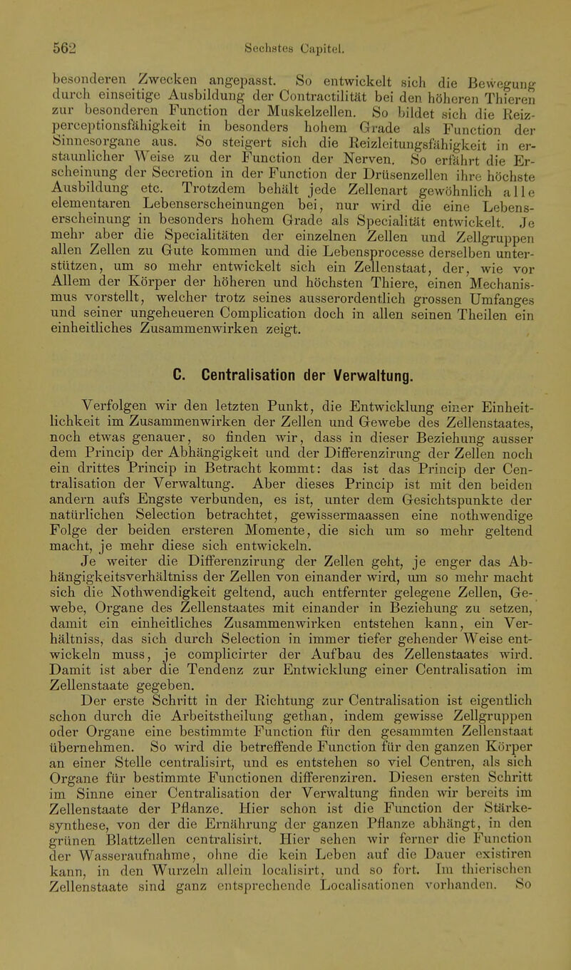 besonderen Zwecken angepasst. So entwickelt sich die Bewegung durch einseitige Ausbildung der Contractilität bei den höheren Thieren zur besonderen Function der Muskelzellen. So bildet sich die Reiz- percei^tionsfähigkeit in besonders hohem Grade als Function der Sinnesorgane aus. So steigert sich die Reizleitungsftihigkeit in er- staunlicher Weise zu der Function der Nerven. So erfahrt die Er- scheinung der Secretion in der Function der Drüsenzellen ihre höchste Ausbildung etc. Trotzdem behält jede Zellenart gewöhnlich alle elementaren Lebenserscheinungen bei, nur wird die eine Lebens- erscheinung in besonders hohem Grade als Specialität entwickelt. Je mehr aber die Specialitäten der einzelnen Zellen und Zellgruppen allen Zellen zu Gute kommen und die Lebensprocesse derselben unter- stützen, um so mehr entwickelt sich ein Zellenstaat, der, wie vor Allem der Körper der höheren und höchsten Thiere, einen Mechanis- mus vorstellt, welcher trotz seines ausserordentlich grossen Umfanges und seiner ungeheueren Complication doch in allen seinen Theilen ein einheitliches Zusammenwirken zeigt. C. Centralisation der Verwaltung. Verfolgen wir den letzten Punkt, die Entwicklung einer Einheit- lichkeit im Zusammenwirken der Zellen und Gewebe des Zellenstaates, noch etwas genauer, so finden wir, dass in dieser Beziehung ausser dem Princip der Abhängigkeit und der Differenzirung der Zellen noch ein drittes Princip in Betracht kommt: das ist das Princip der Cen- tralisation der Verwaltung. Aber dieses Princip ist mit den beiden andern aufs Engste verbunden, es ist, unter dem Gesichtspunkte der natürlichen Selection betrachtet, gewissermaassen eine nothwendige Folge der beiden ersteren Momente, die sich um so mehr geltend macht, je mehr diese sich entwickeln. Je weiter die Differenzirung der Zellen geht, je enger das Ab- hängigkeitsverhältniss der Zellen von einander wird, um so mehr macht sich die Nothwendigkeit geltend, auch entfernter gelegene Zellen, Ge- webe, Organe des Zellenstaates mit einander in Beziehung zu setzen, damit ein einheitliches Zusammenwirken entstehen kann, ein Ver- hältniss, das sich durch Selection in immer tiefer gehender Weise ent- wickeln muss, je complicirter der Aufbau des Zellenstaates wird. Damit ist aber die Tendenz zur Entwicklung einer Centralisation im Zellenstaate gegeben. Der erste Schritt in der Richtung zur Centralisation ist eigentlich schon durch die Arbeitstheilung gethan, indem gewisse Zellgruppen oder Organe eine bestimmte Function für den gesammten Zellenstaat übernehmen. So wird die betreffende Function für den ganzen Körper an einer Stelle centralisirt, und es entstehen so viel Centren, als sich Organe für bestimmte Functionen differenziren. Diesen ersten Schritt im Sinne einer Centralisation der Verwaltung finden wir bereits im Zellenstaate der Pflanze. Hier schon ist die Function der Stärke- synthese, von der die Ernährung der ganzen Pflanze abhängt, in den grünen Blattzellen centralisirt. Hier sehen wir ferner die Function der Wasseraufnahme, ohne die kein Leben auf die Dauer existiren kann, in den Wurzeln allein localisirt, und so fort. Im thierischen Zellenstaate sind ganz entsprechende Localisationen vorhanden. So